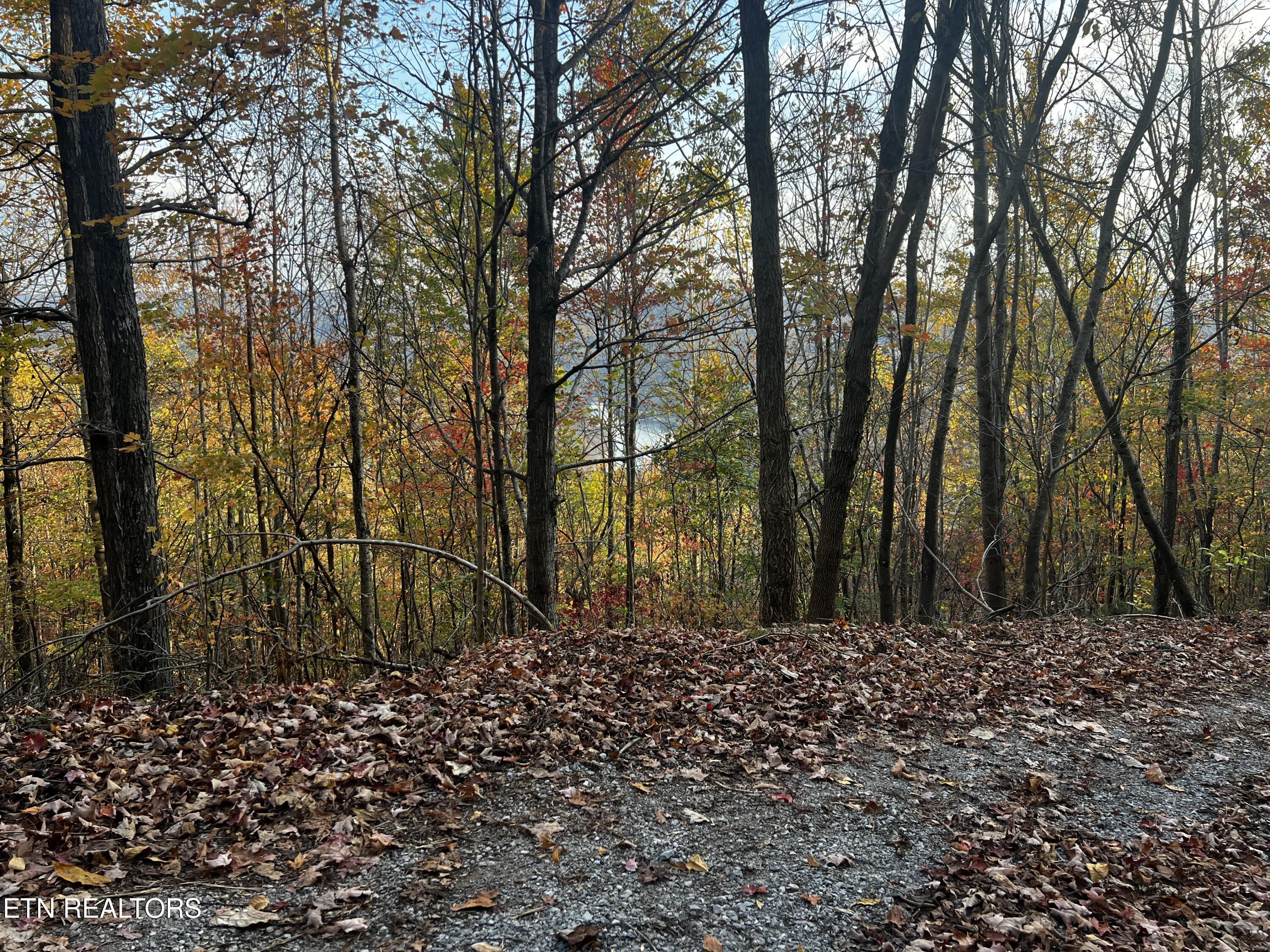 Norris Lake Real Estate - Image# 25