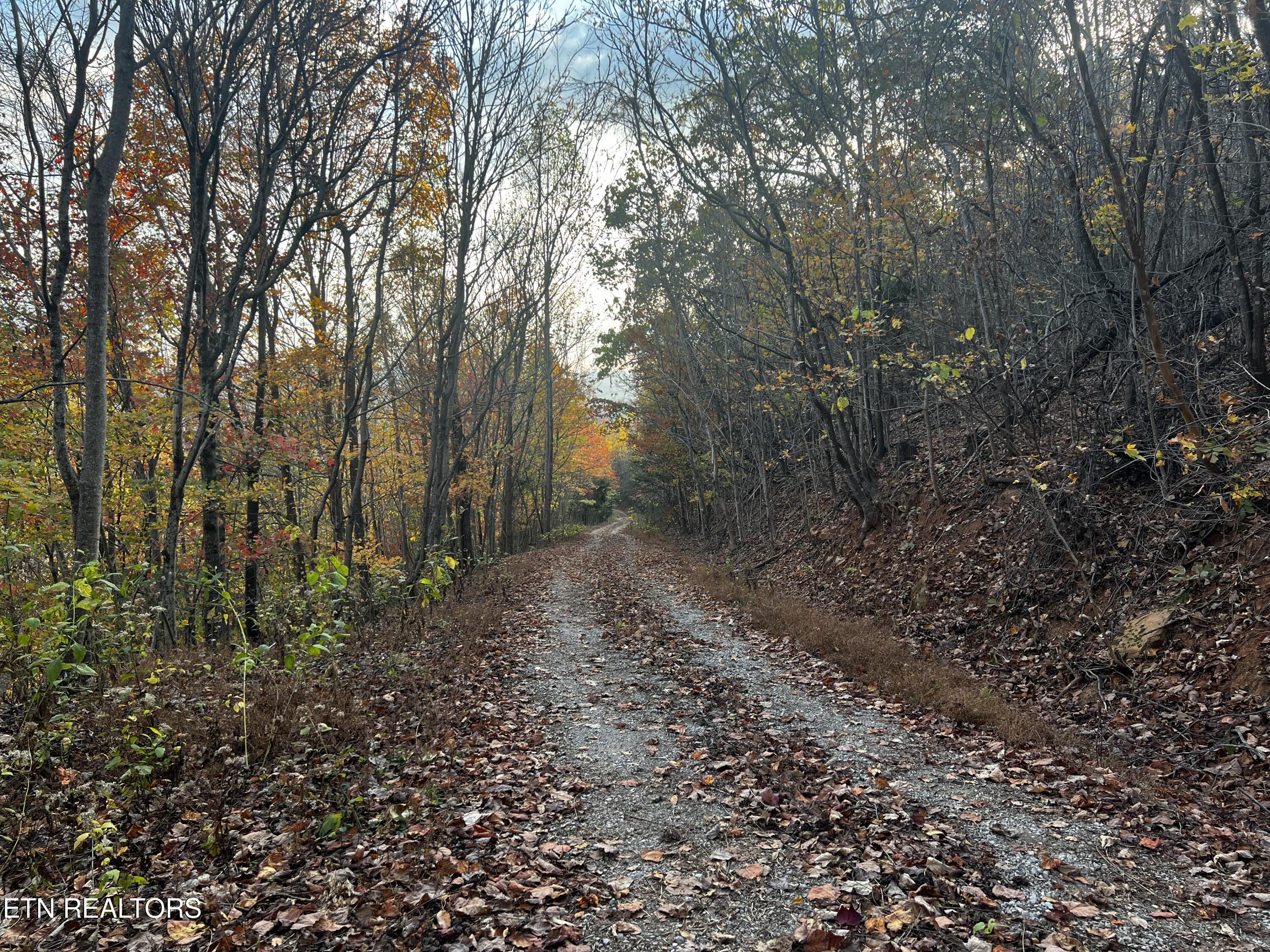 Norris Lake Real Estate - Image# 26