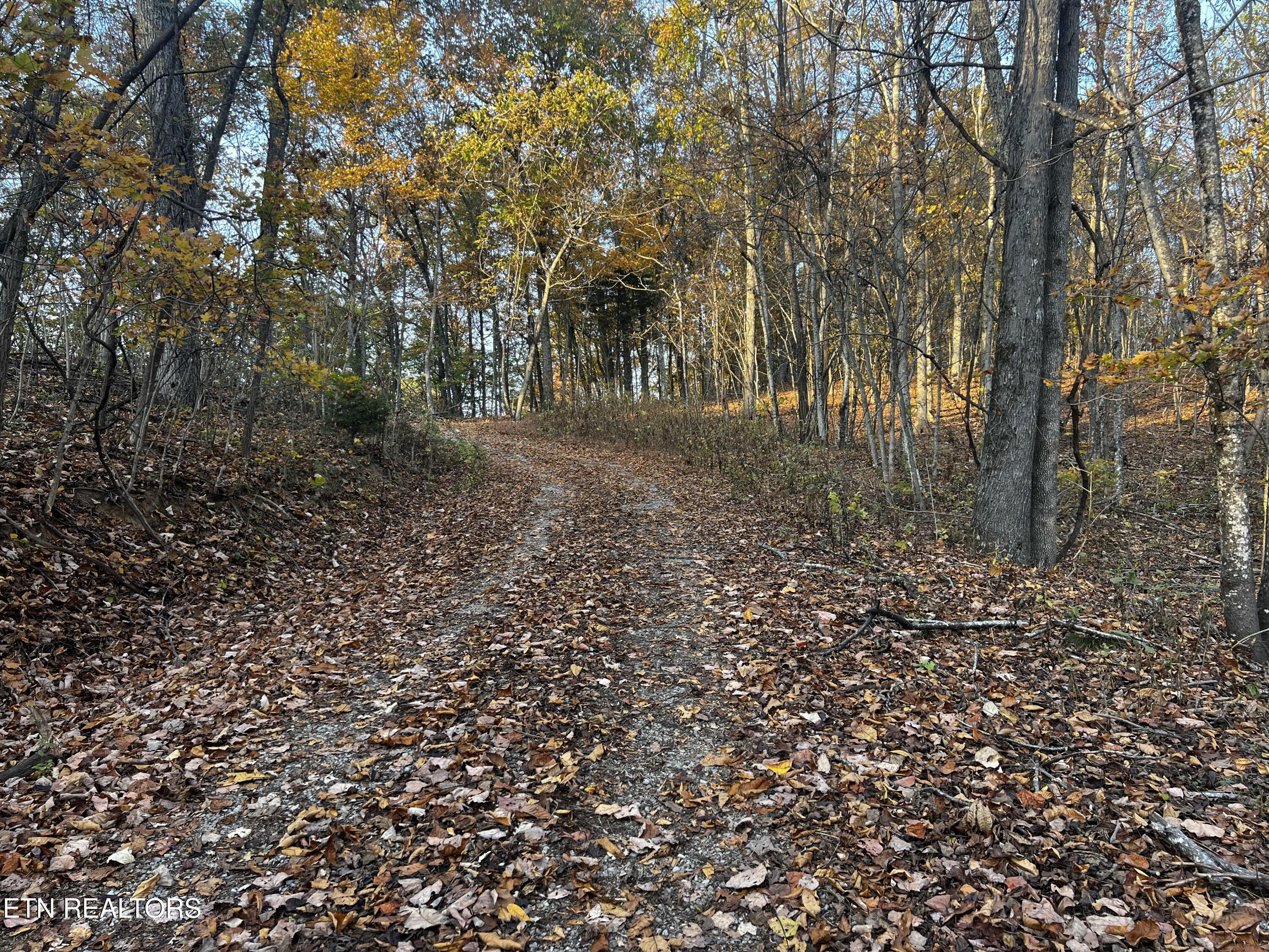 Norris Lake Real Estate - Image# 27