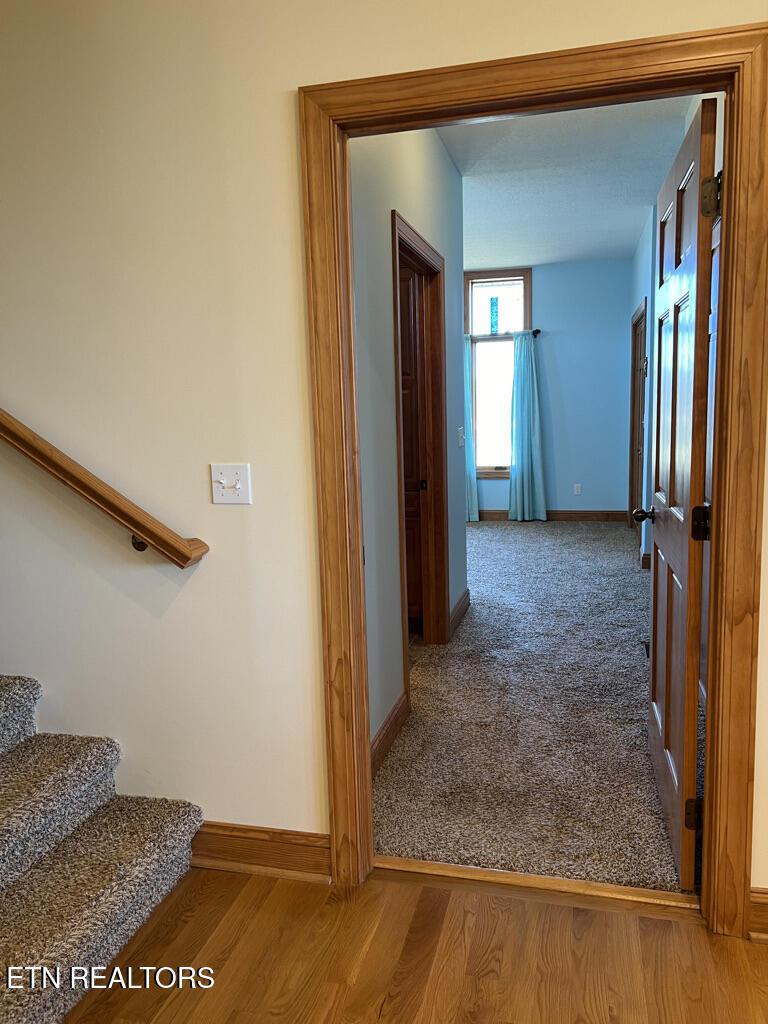 255 Sunset View, Sharps Chapel, TN - Norris Lake Real Estate - Image# 27
