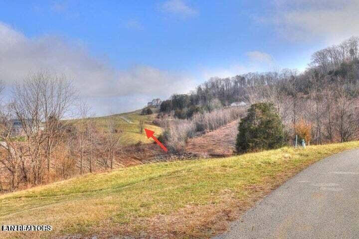 Norris Lake Real Estate - Image# 4