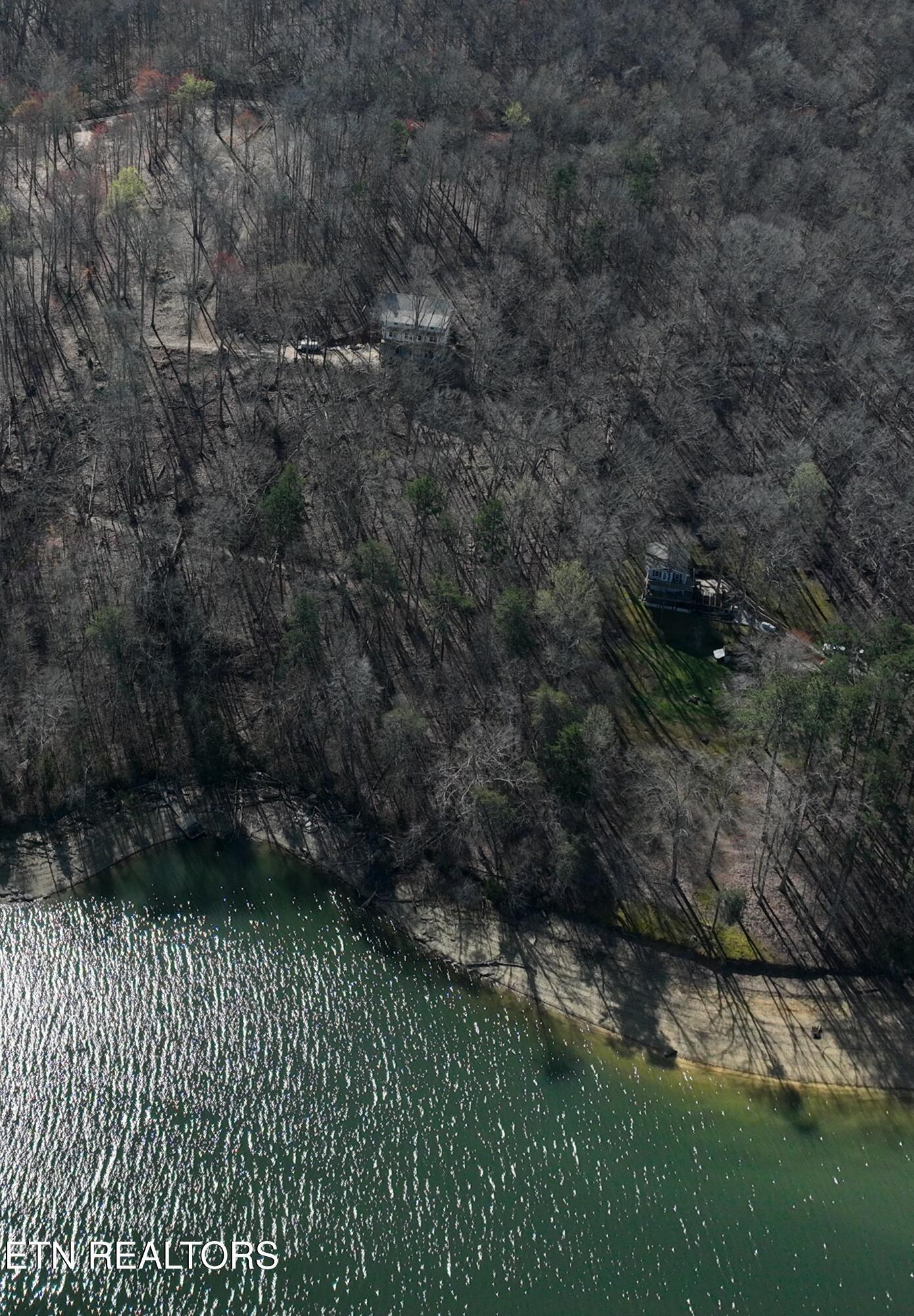 Norris Lake Real Estate - Image# 3