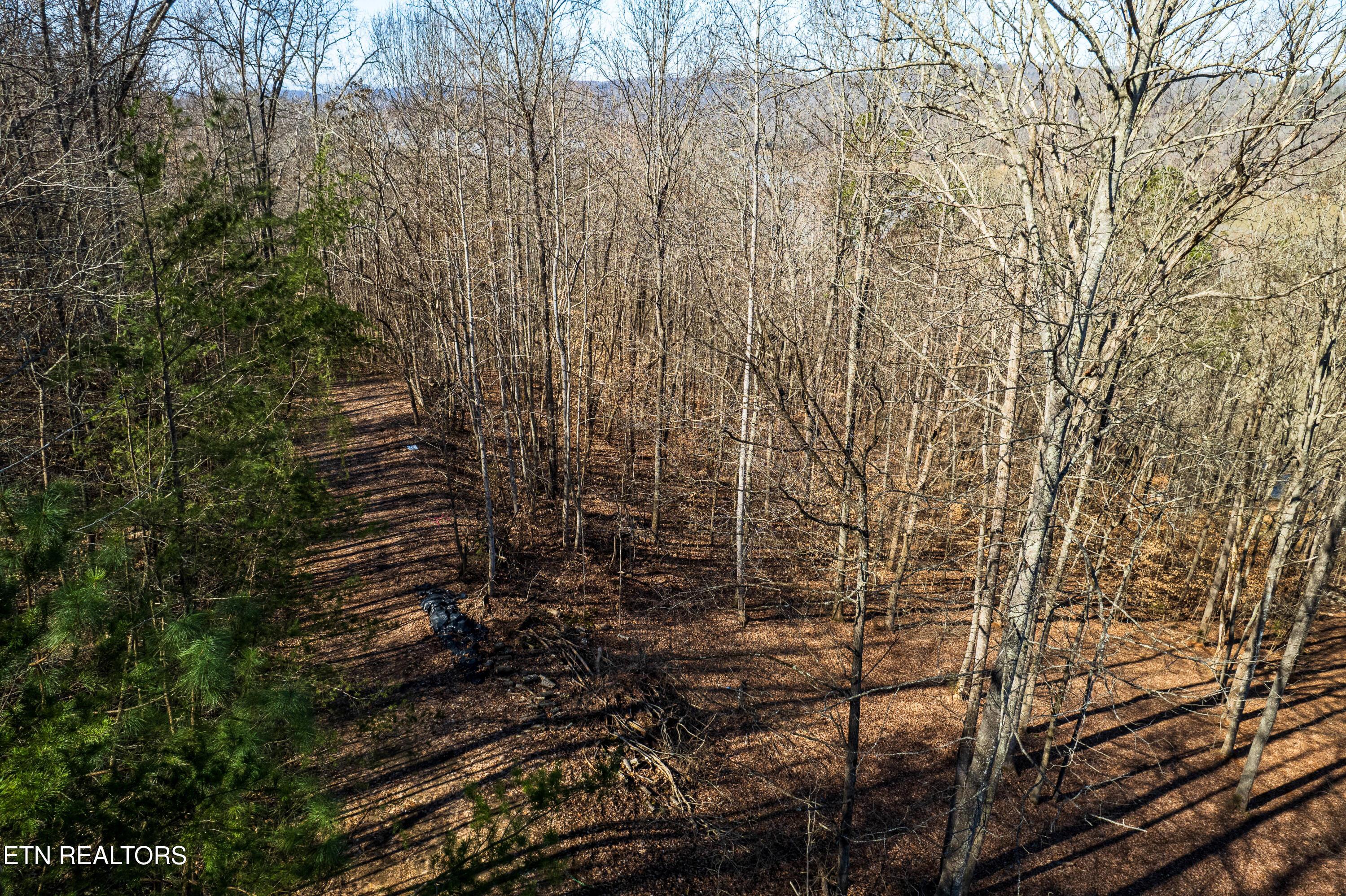 Norris Lake Real Estate - Image# 7