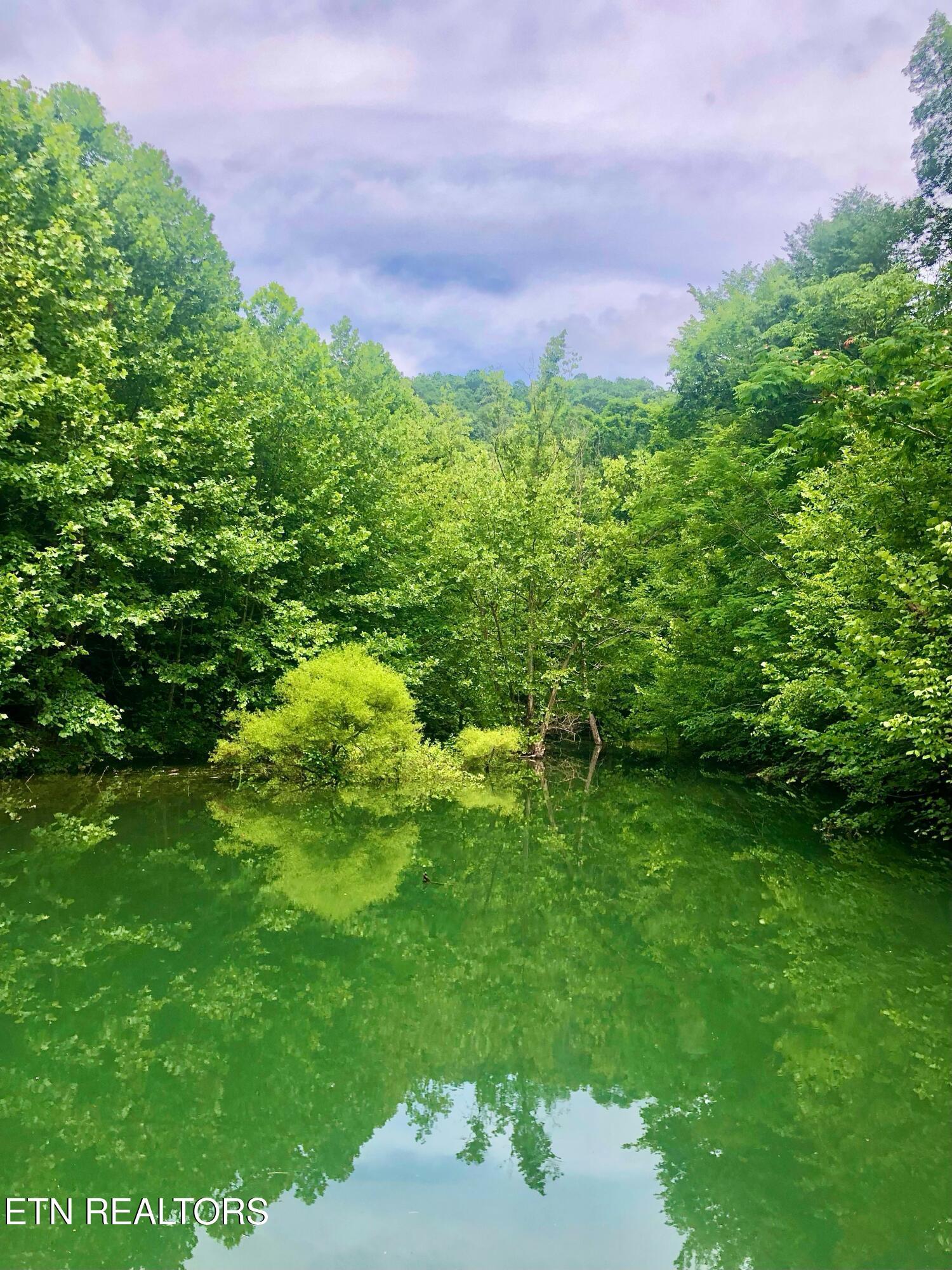 Norris Lake Real Estate - Image# 1