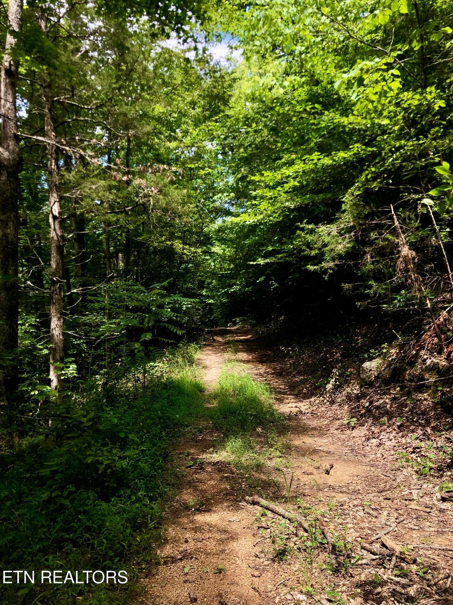 Norris Lake Real Estate - Image# 2