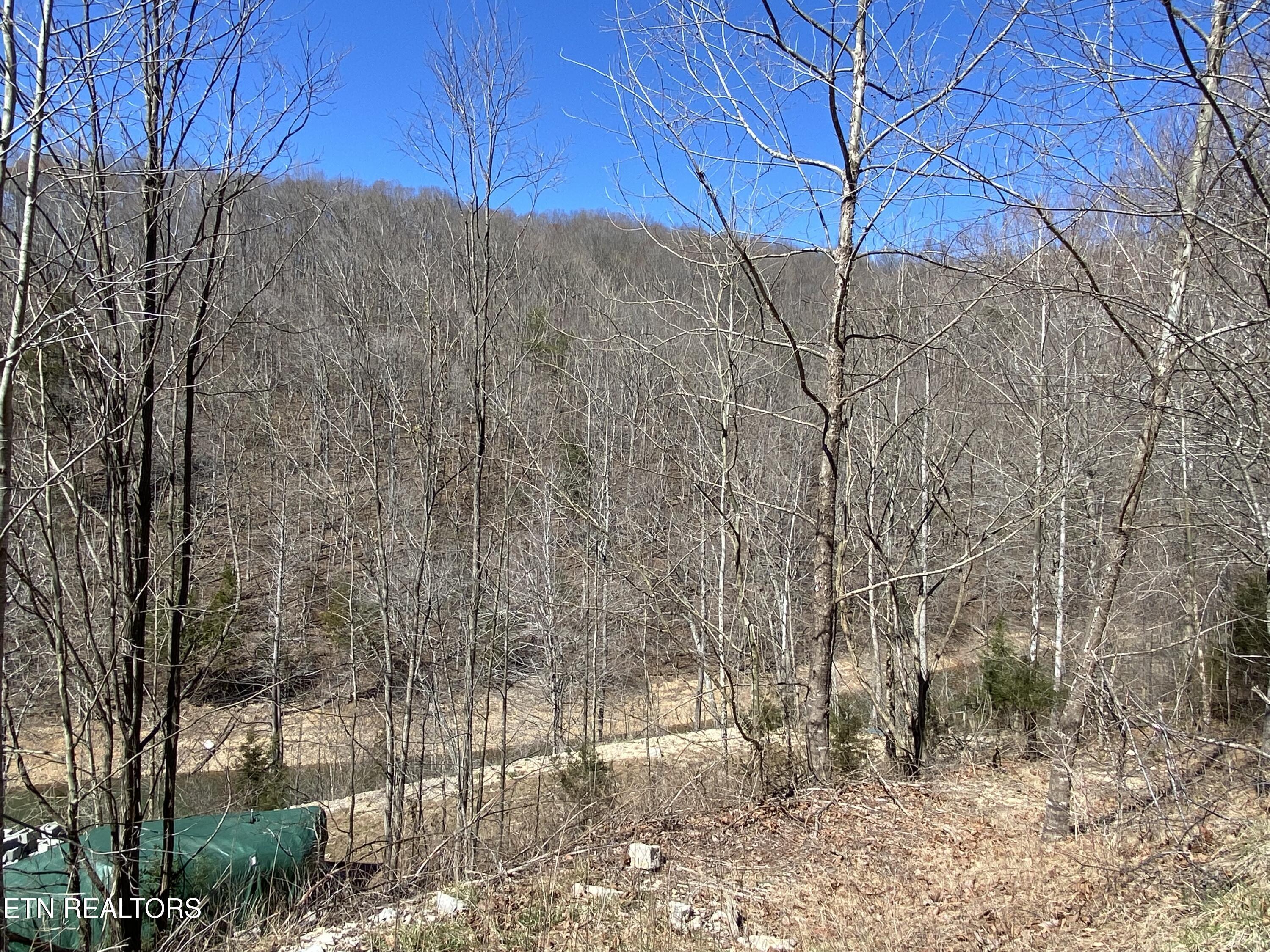 Norris Lake Real Estate - Image# 3