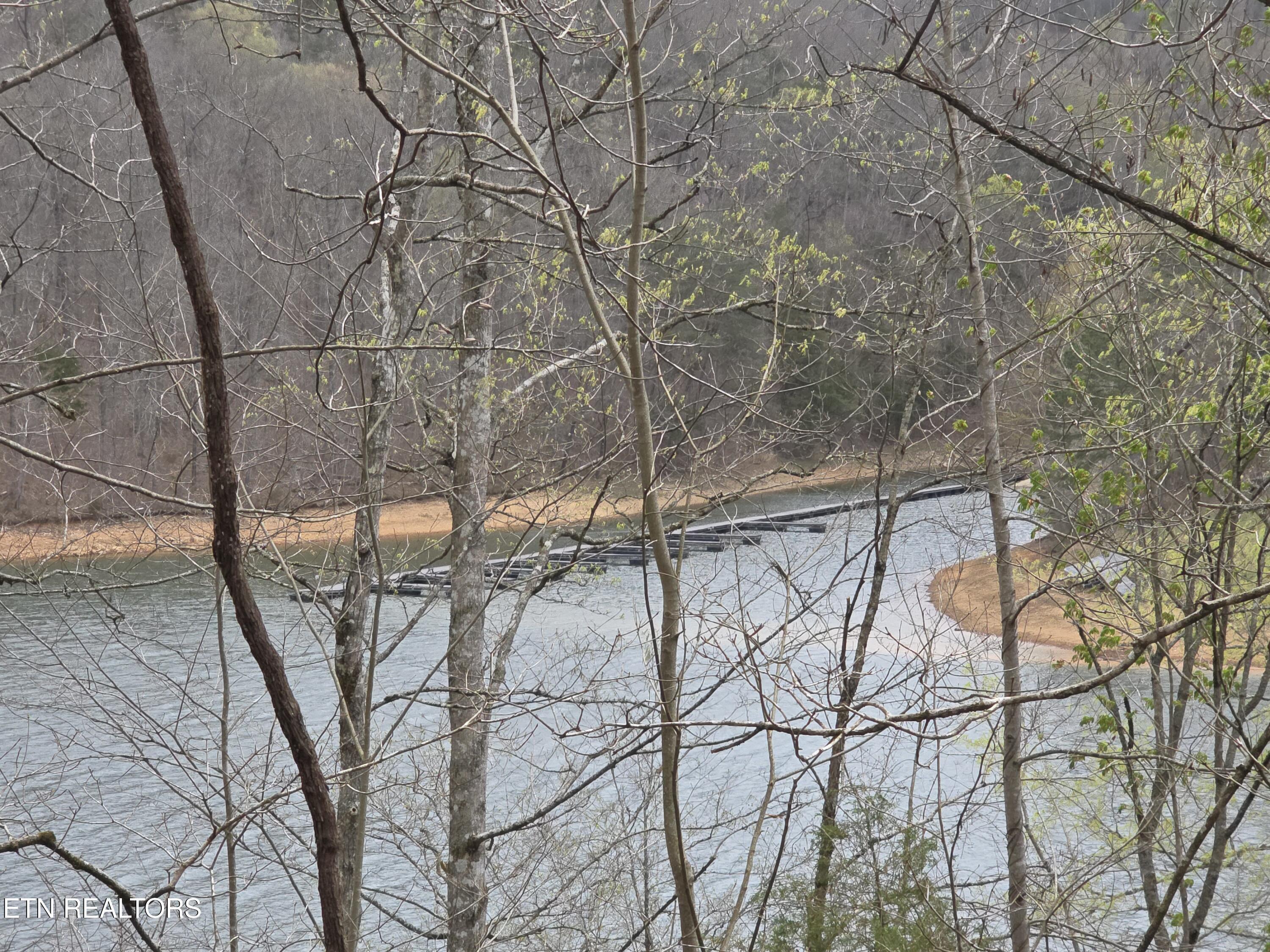 Norris Lake Real Estate - Image# 7