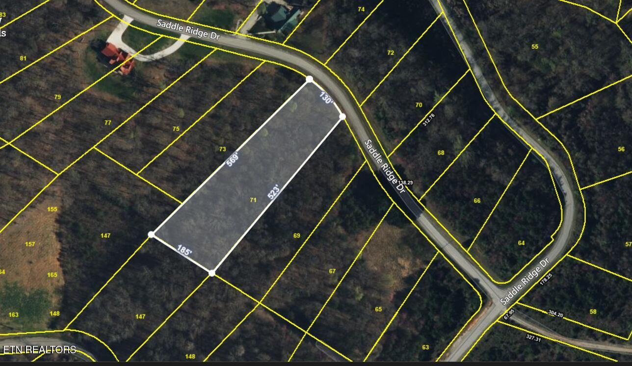Norris Lake Real Estate - Image# 2
