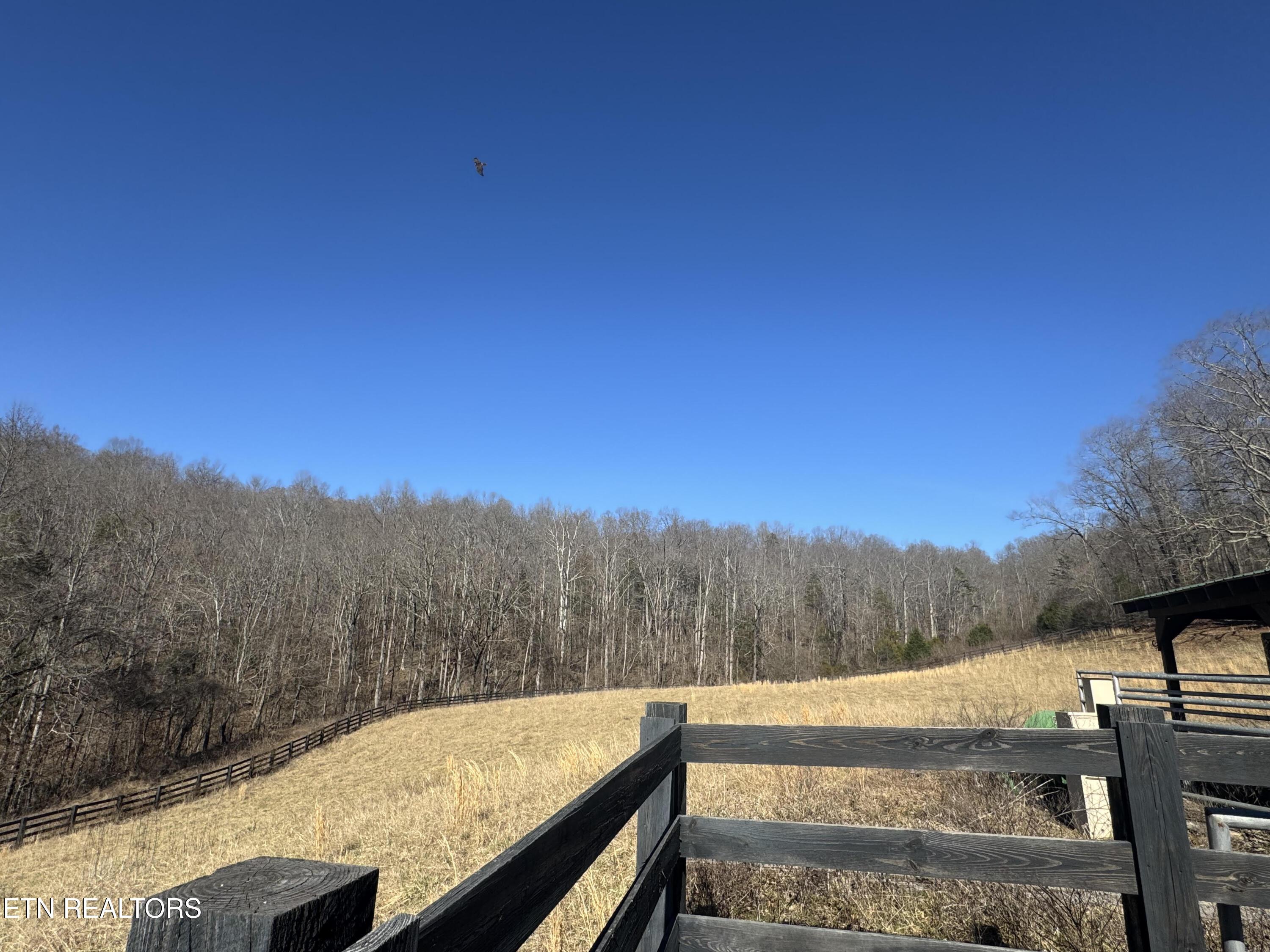 Norris Lake Real Estate - Image# 10