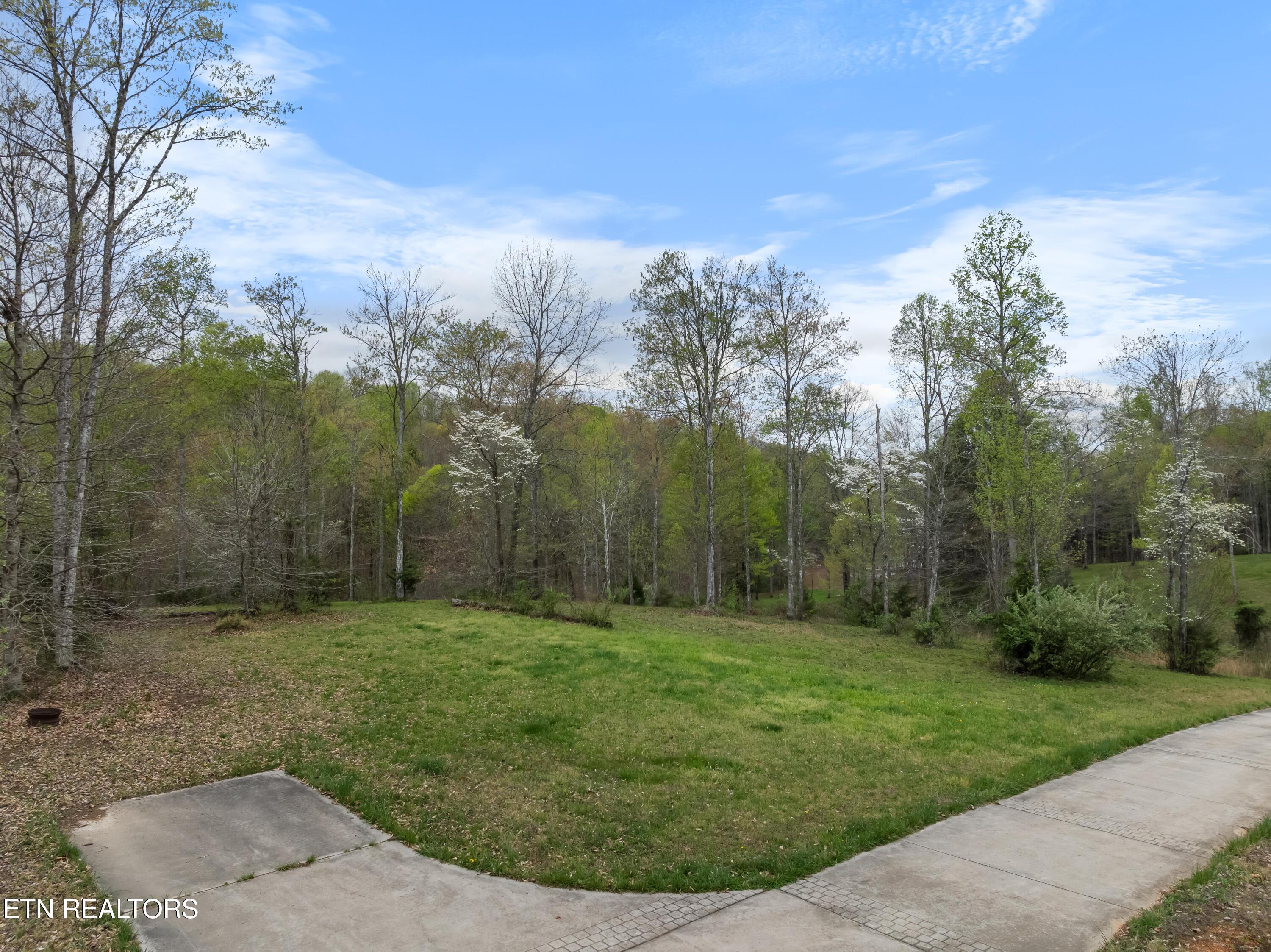 Norris Lake Real Estate - Image# 3