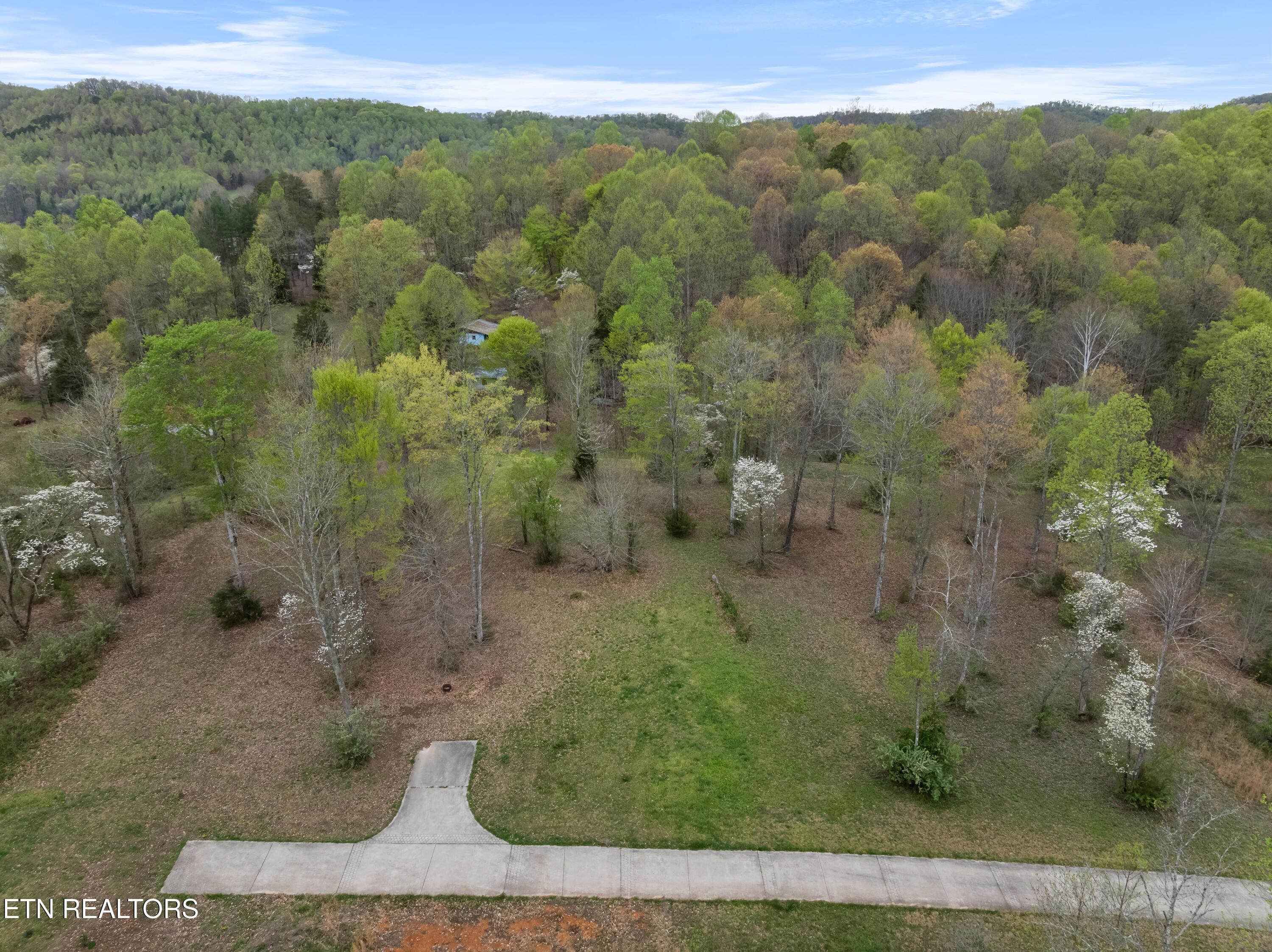 Norris Lake Real Estate - Image# 4
