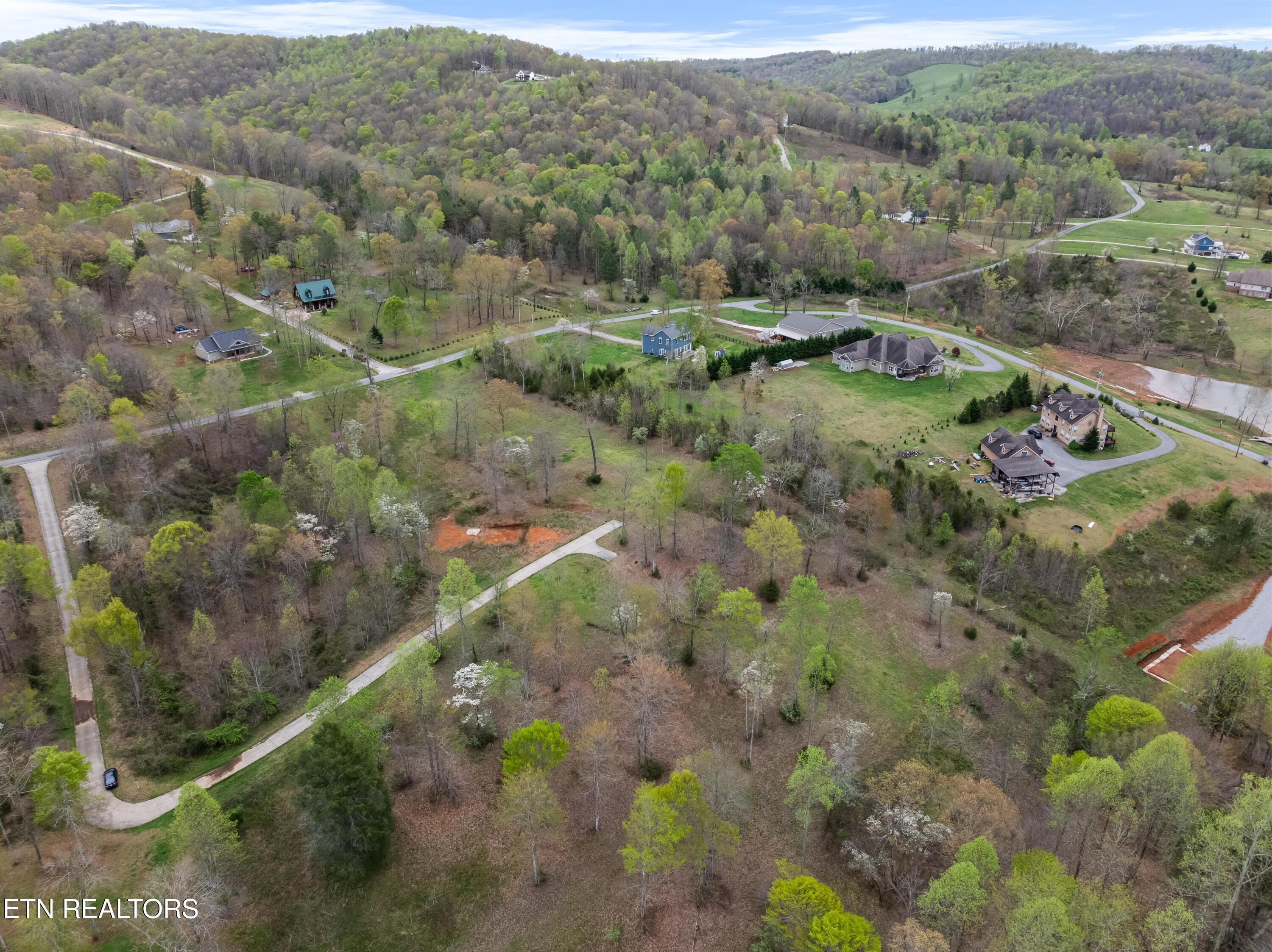 Norris Lake Real Estate - Image# 6