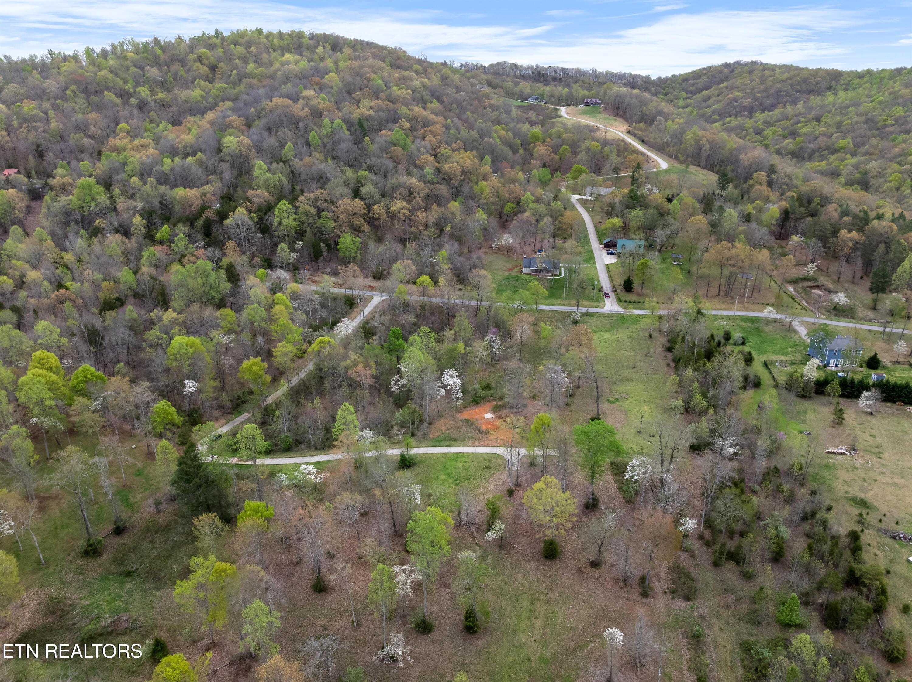 Norris Lake Real Estate - Image# 7