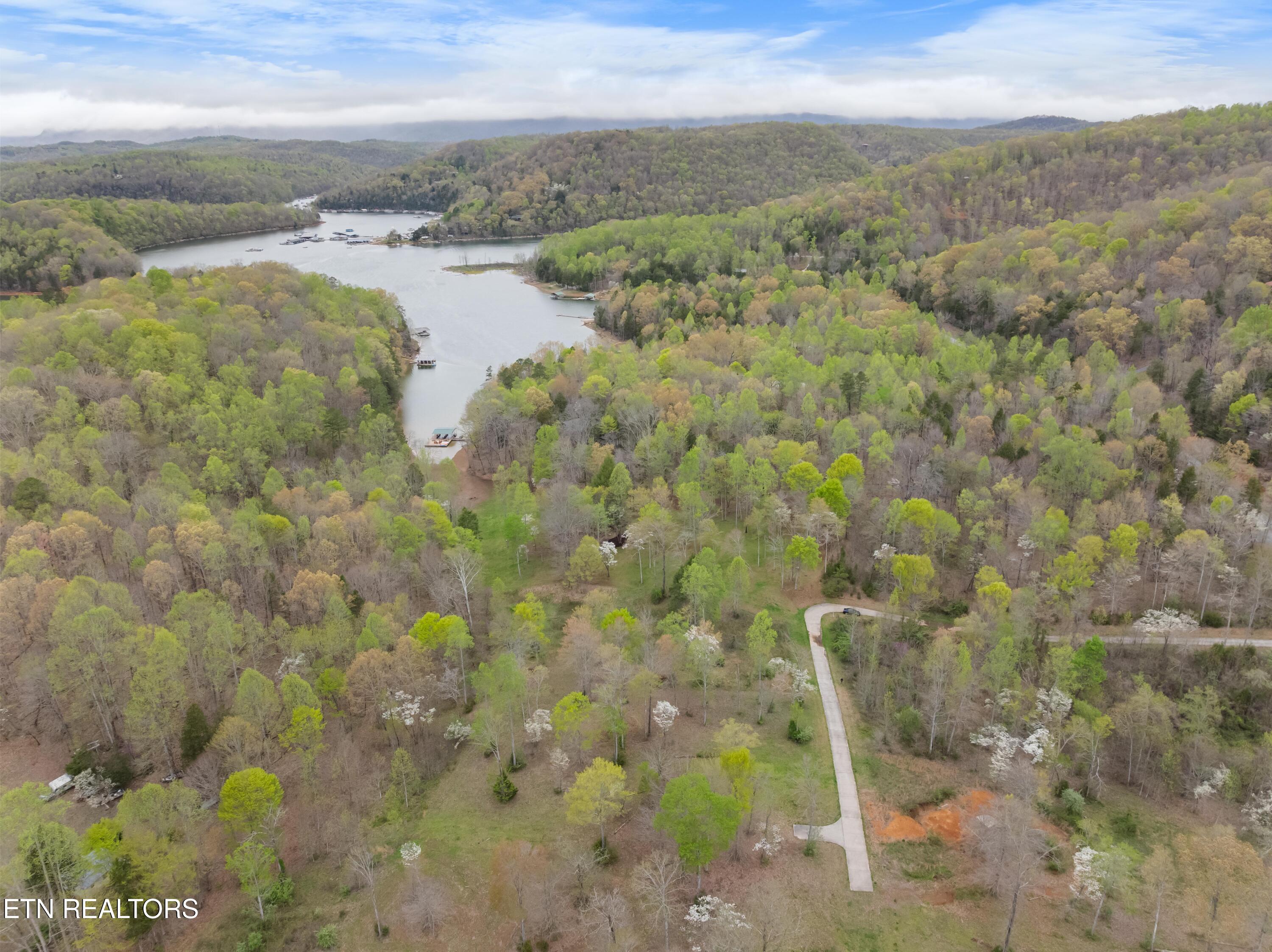 Norris Lake Real Estate - Image# 8