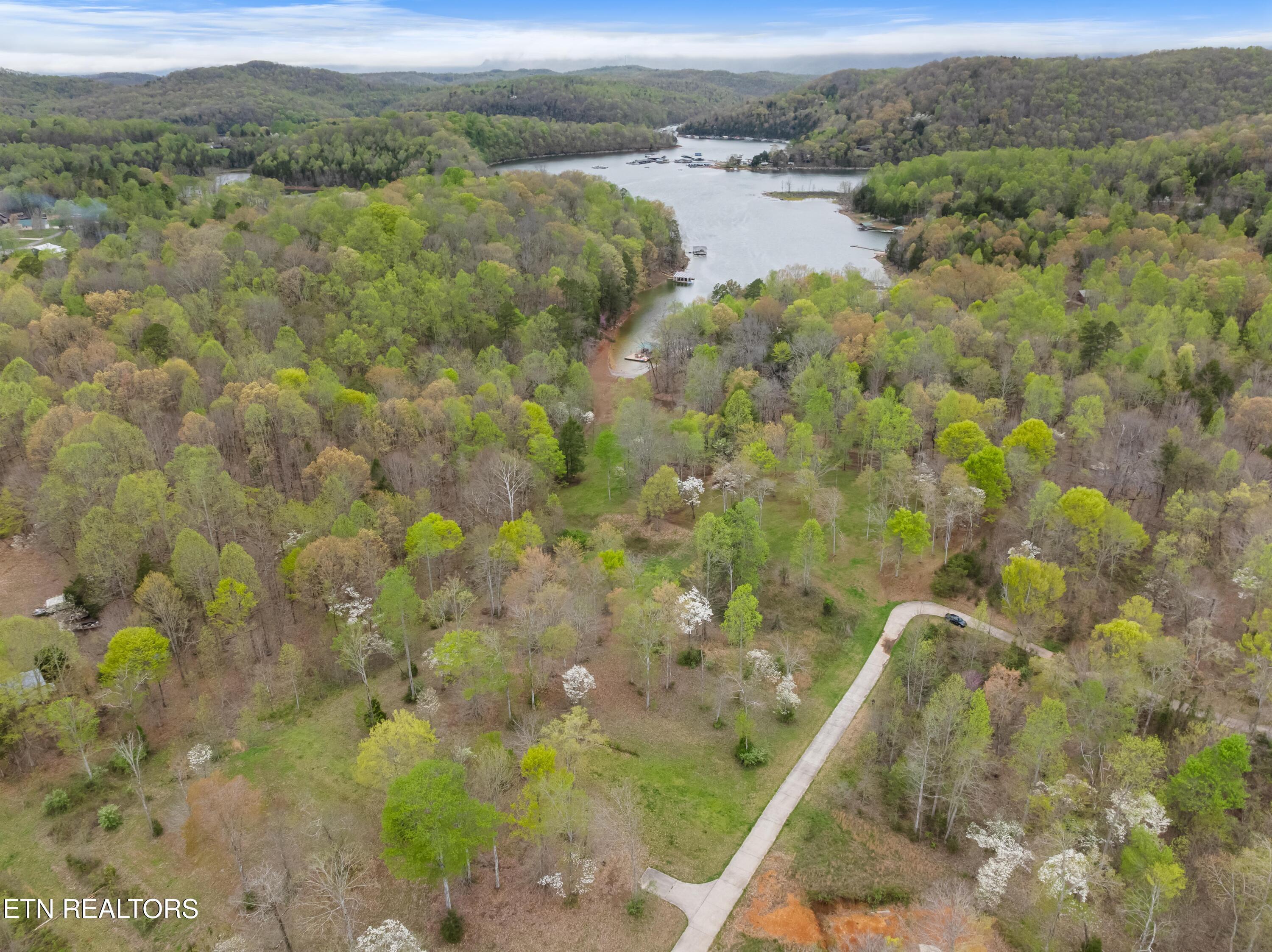 Norris Lake Real Estate - Image# 9