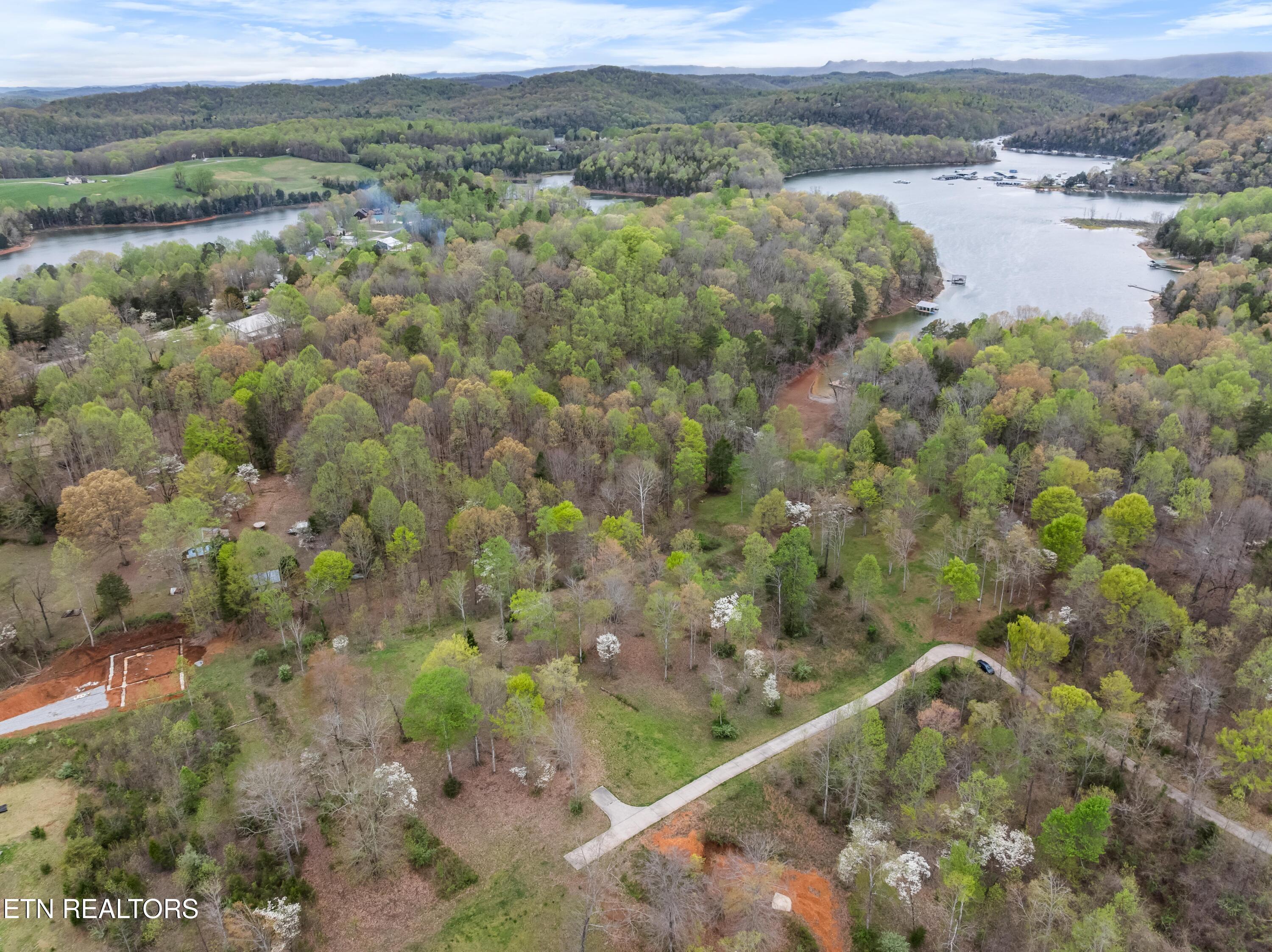 Norris Lake Real Estate - Image# 10