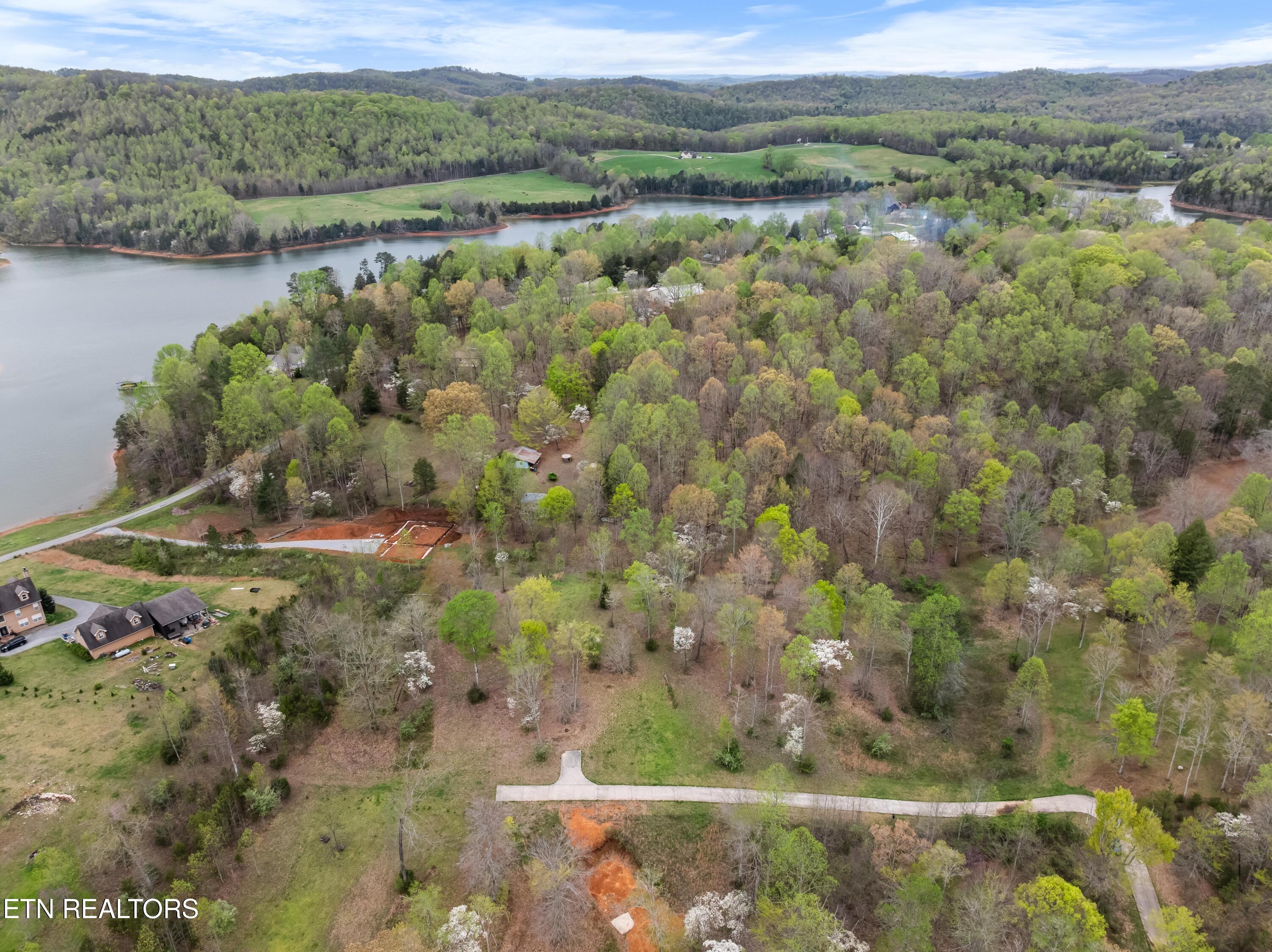 Norris Lake Real Estate - Image# 11