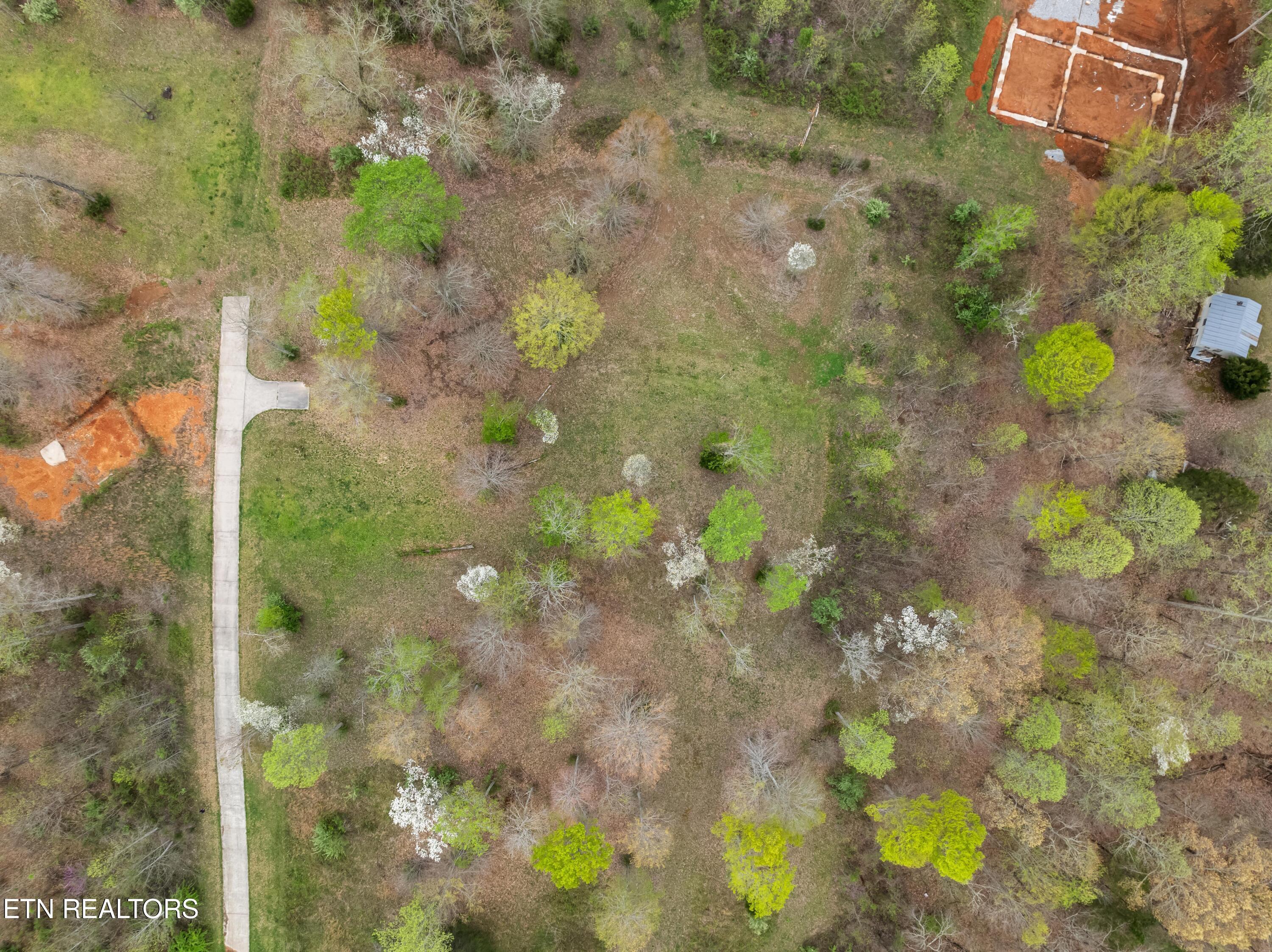 Norris Lake Real Estate - Image# 13
