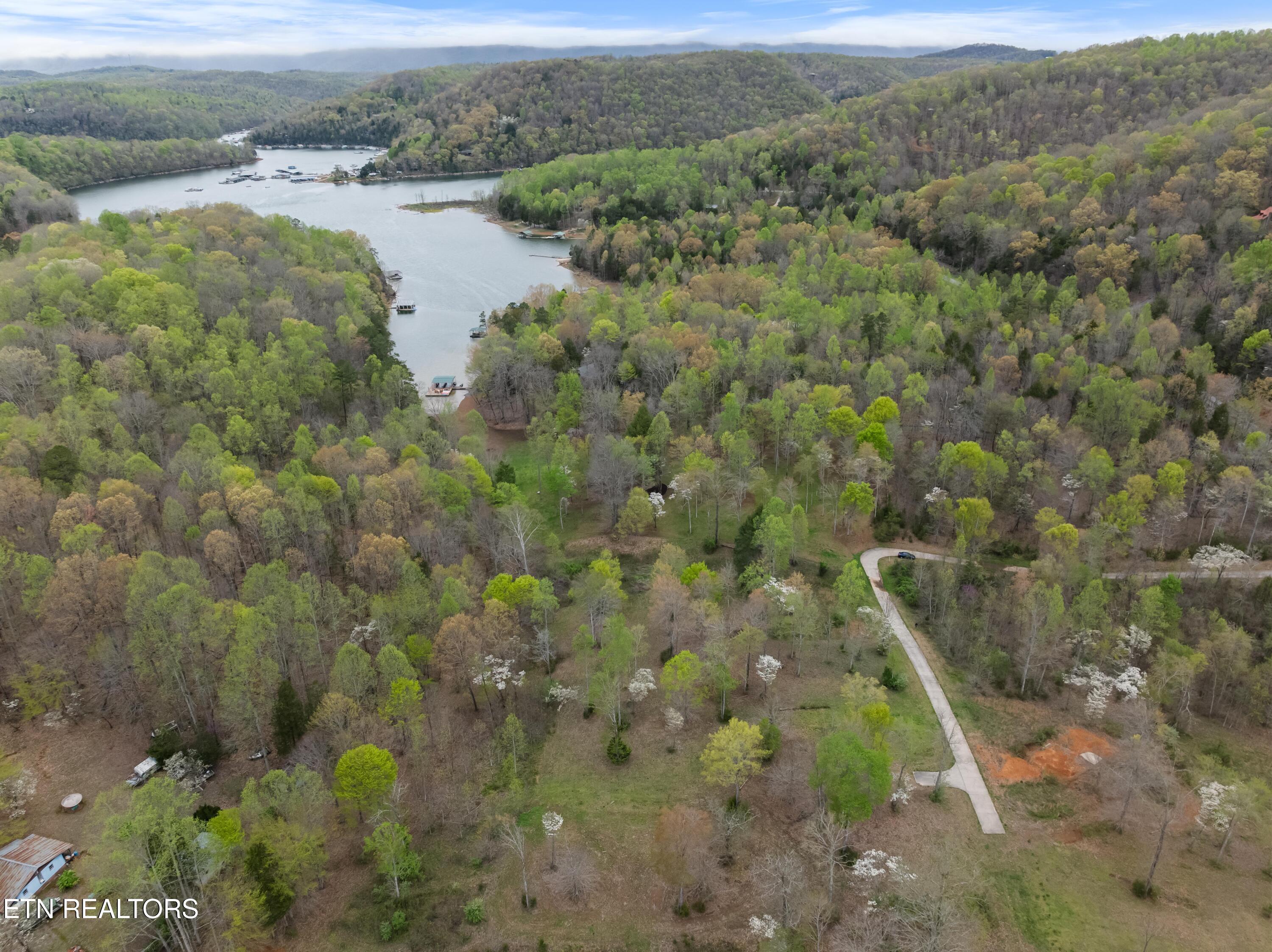 Norris Lake Real Estate - Image# 14