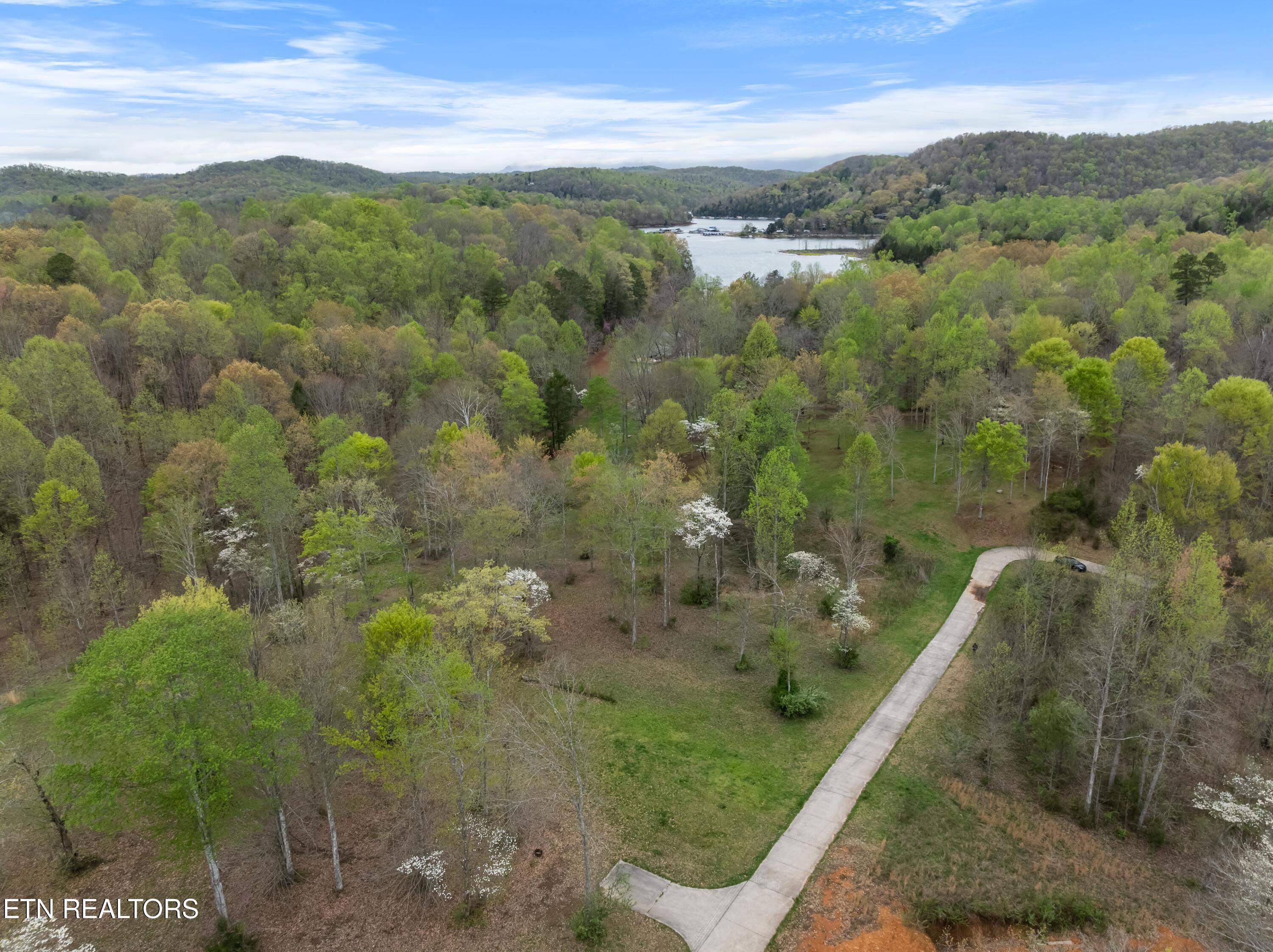 Norris Lake Real Estate - Image# 15