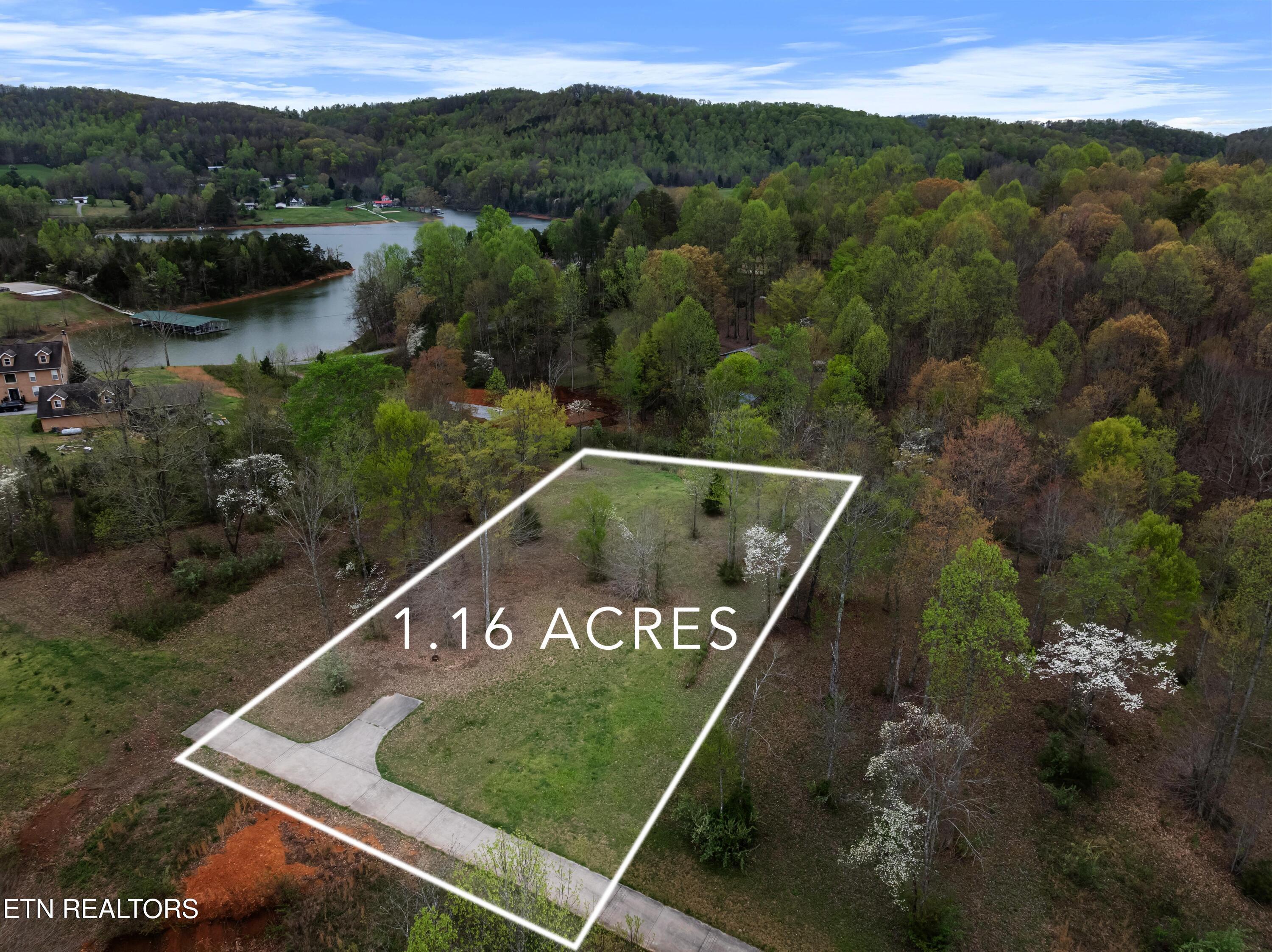 Norris Lake Real Estate - Image# 2