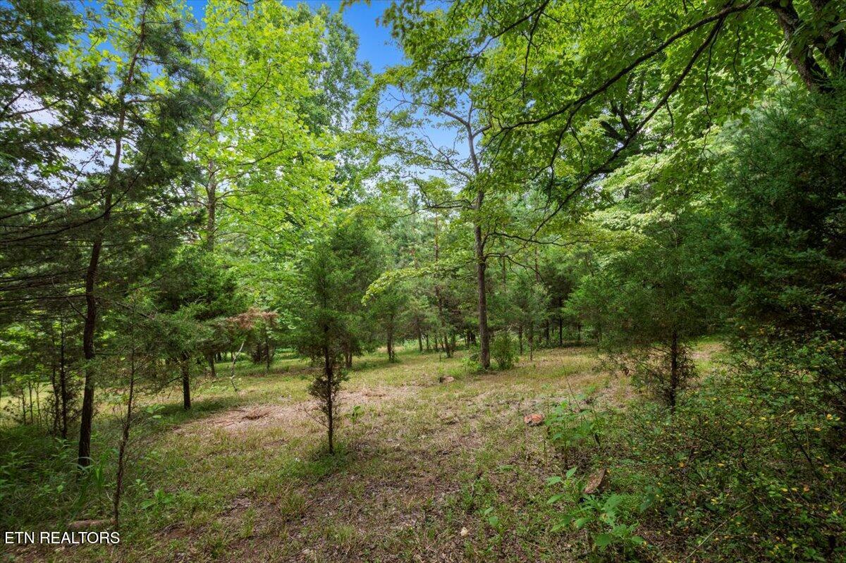 Norris Lake Real Estate - Image# 4