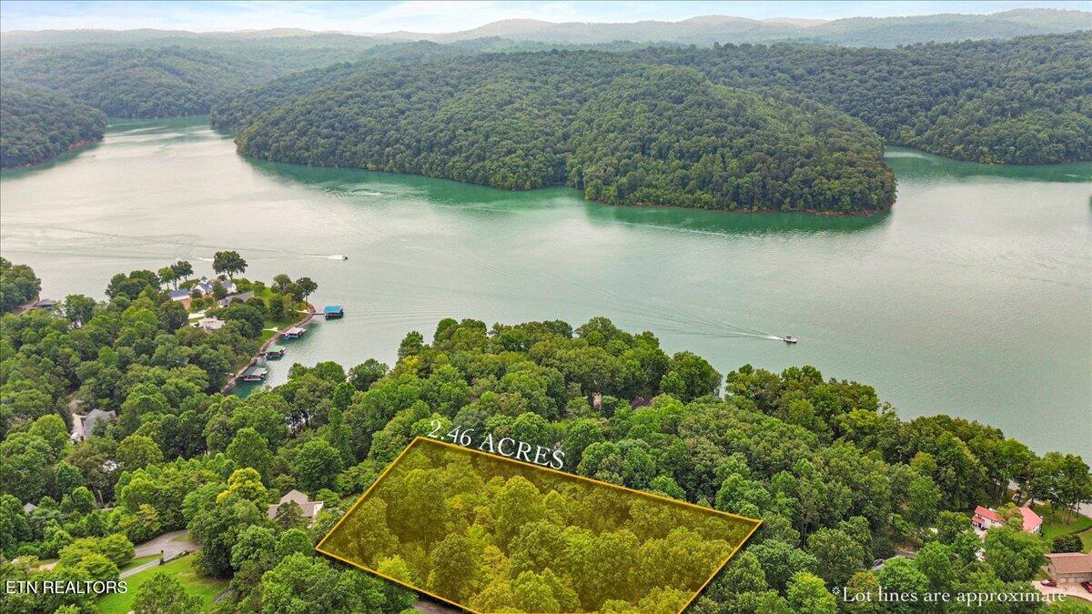 Norris Lake Real Estate - Image# 1