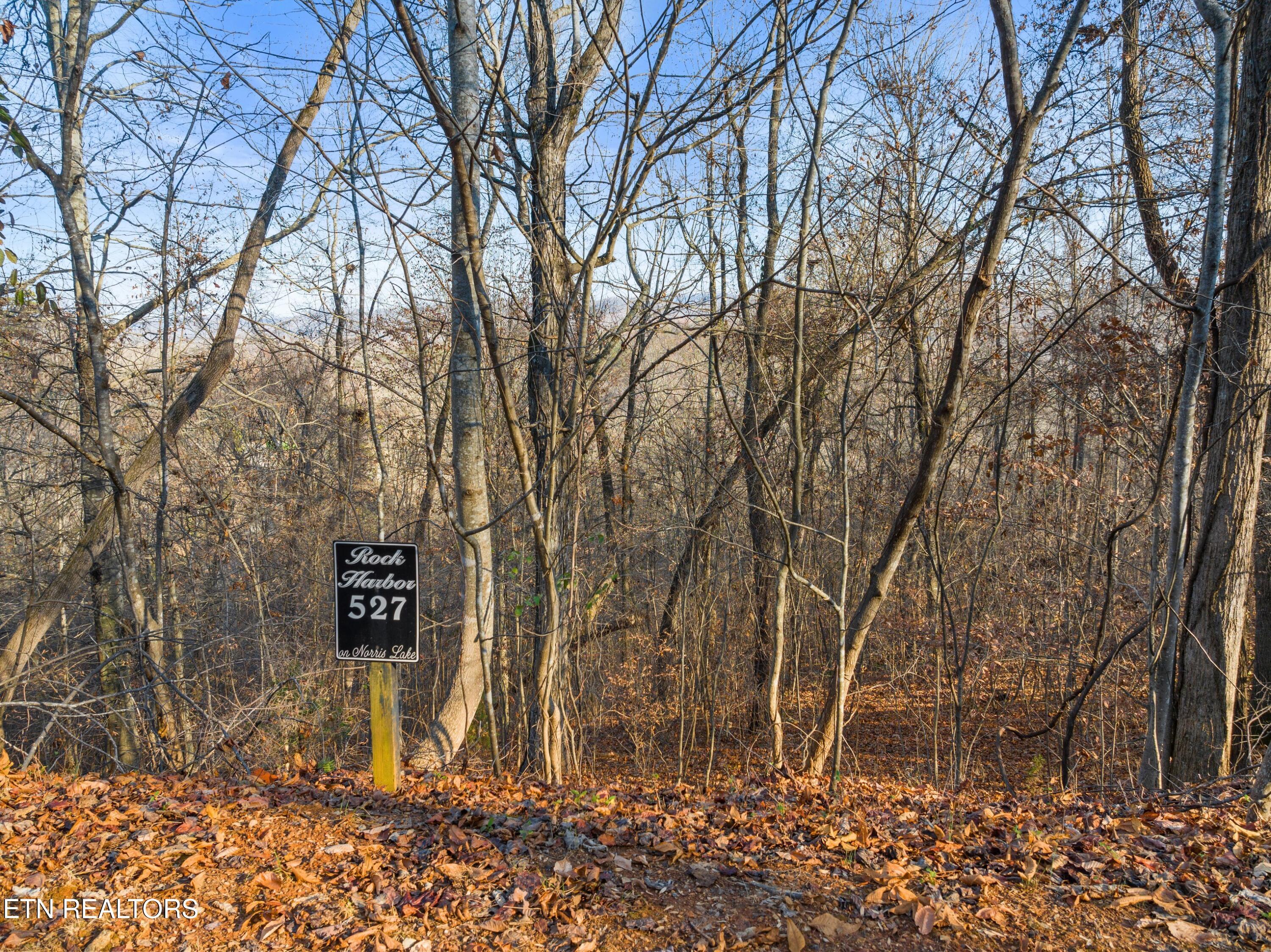Norris Lake Real Estate - Image# 5