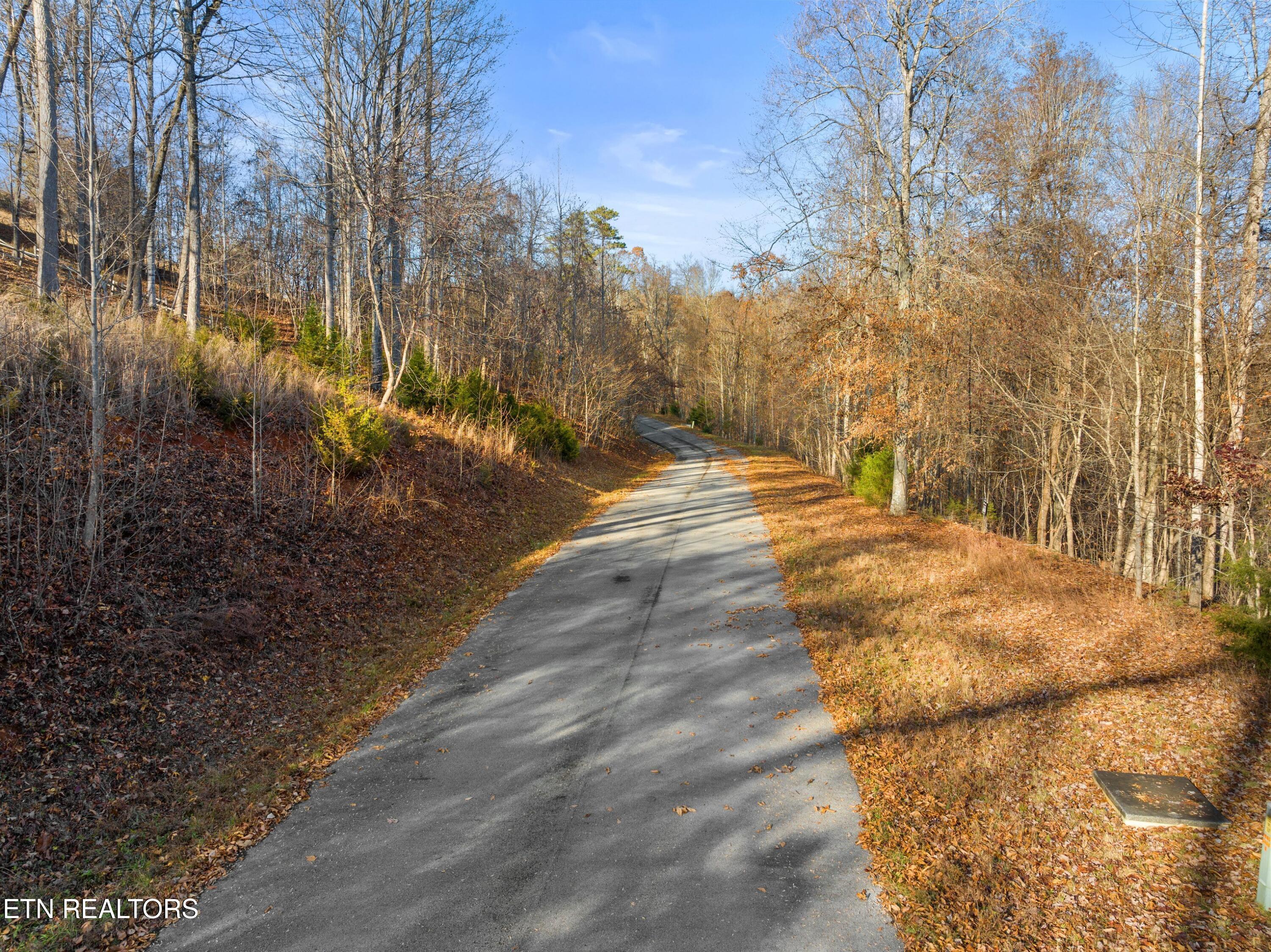 Norris Lake Real Estate - Image# 10