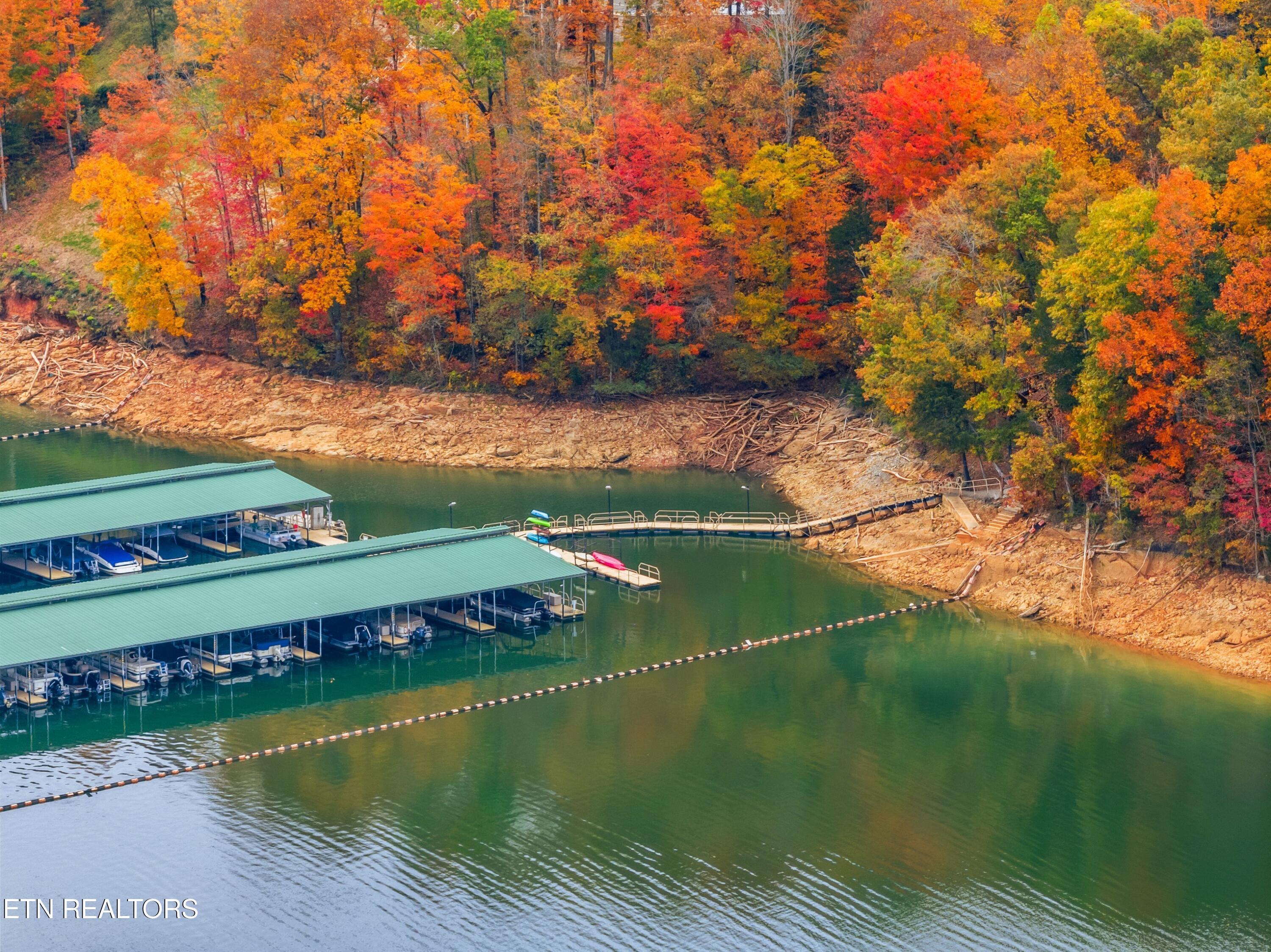 Norris Lake Real Estate - Image# 18