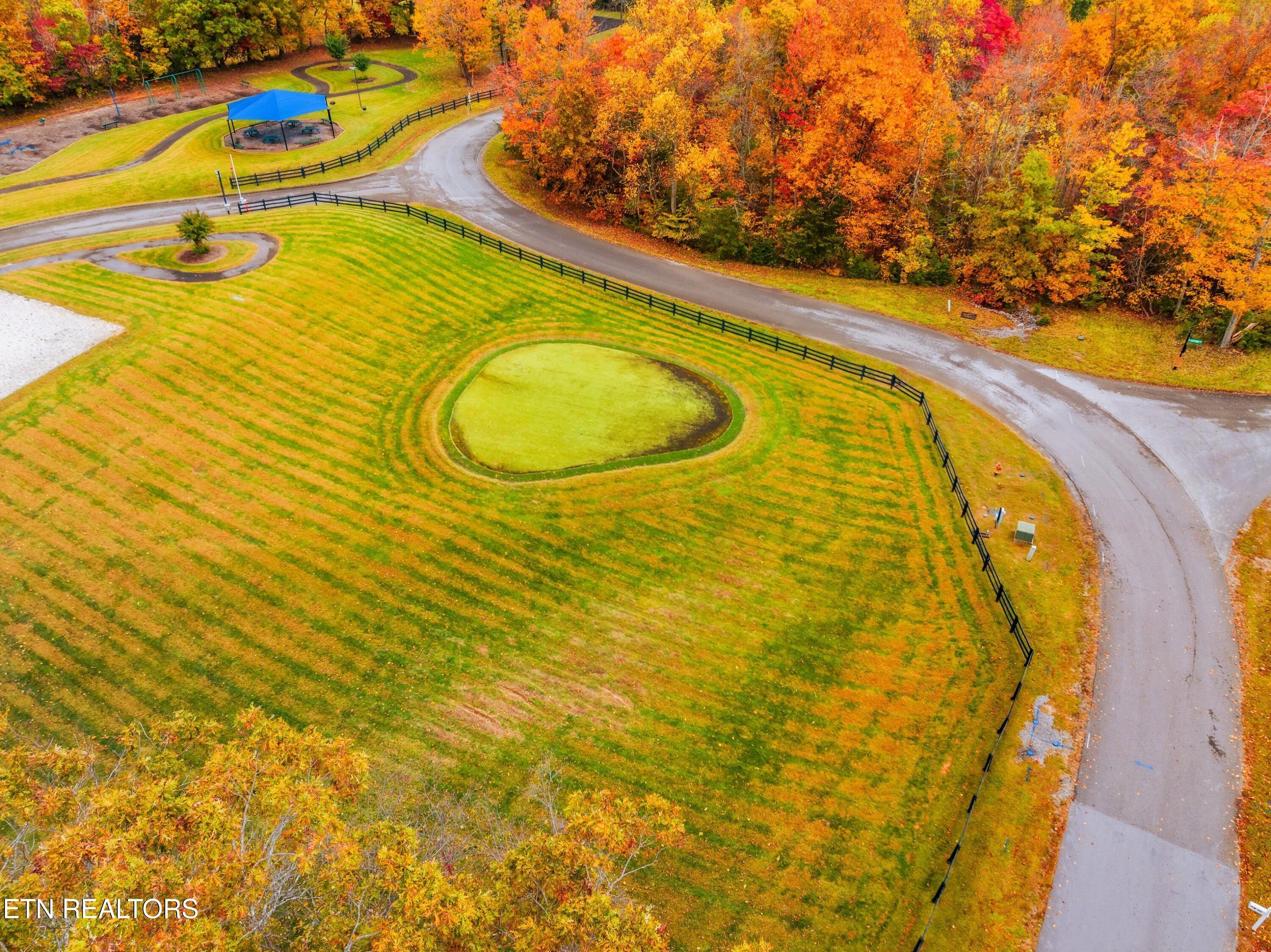 Norris Lake Real Estate - Image# 23