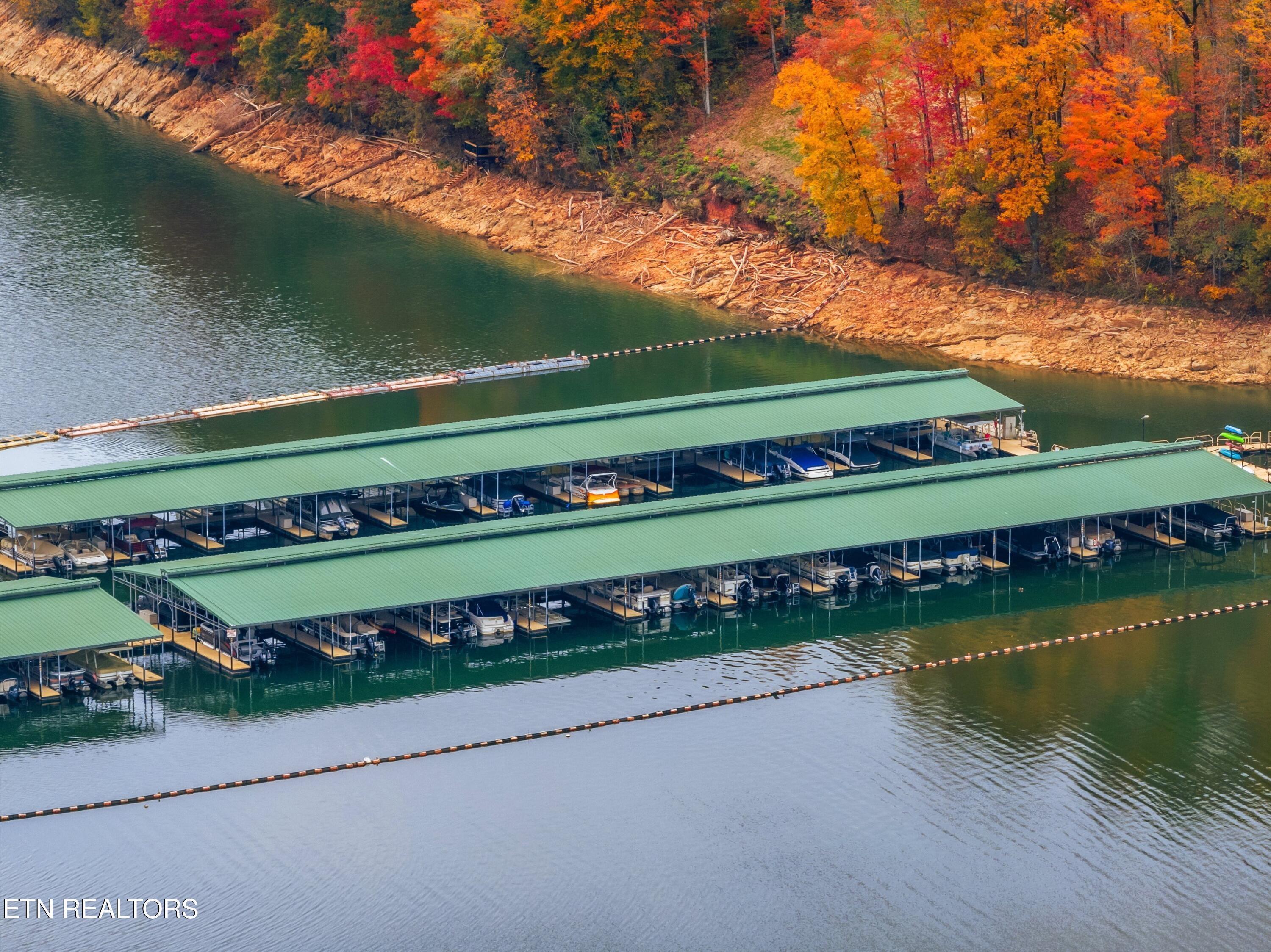 Norris Lake Real Estate - Image# 26