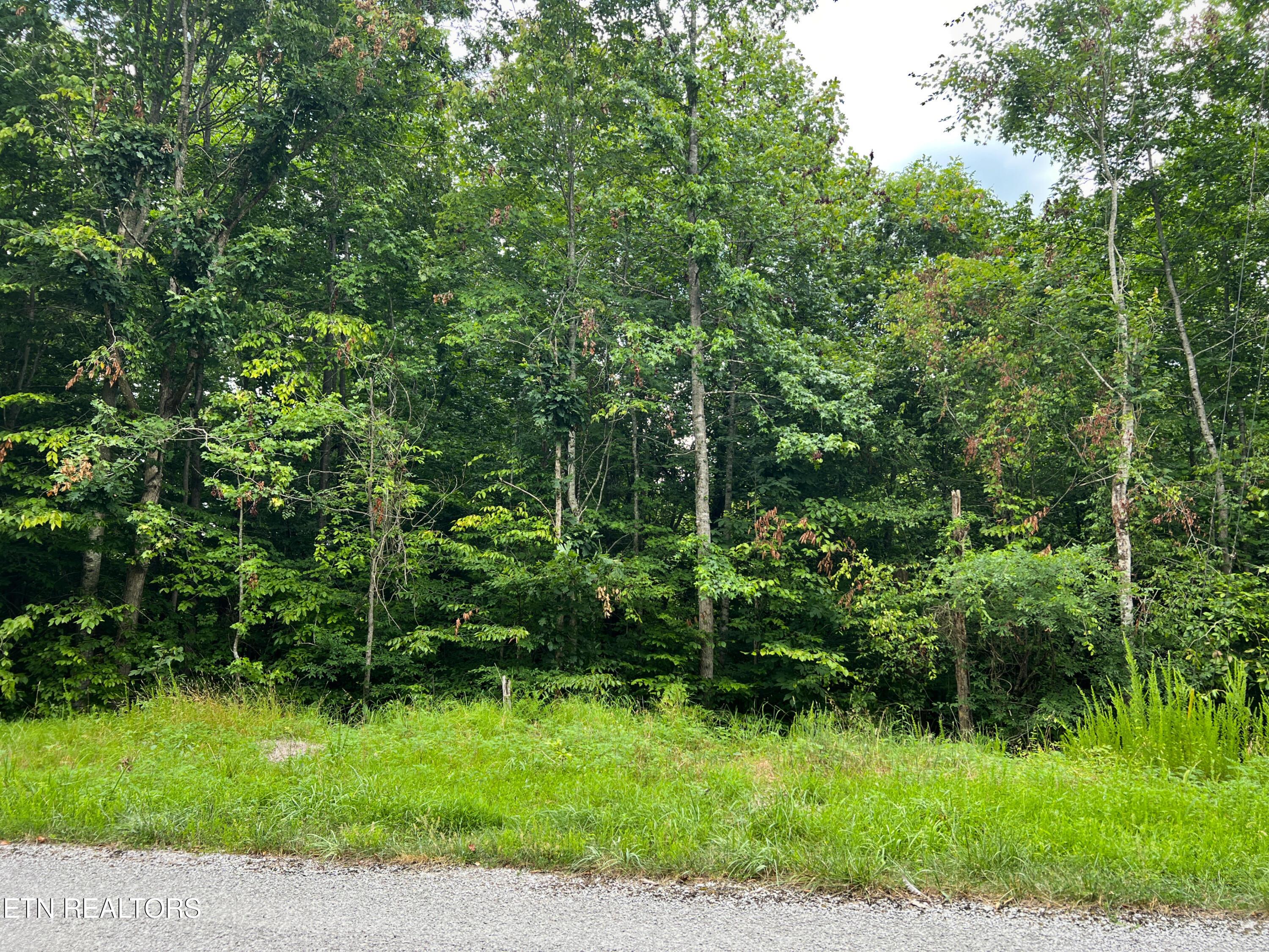 Norris Lake Real Estate - Image# 7