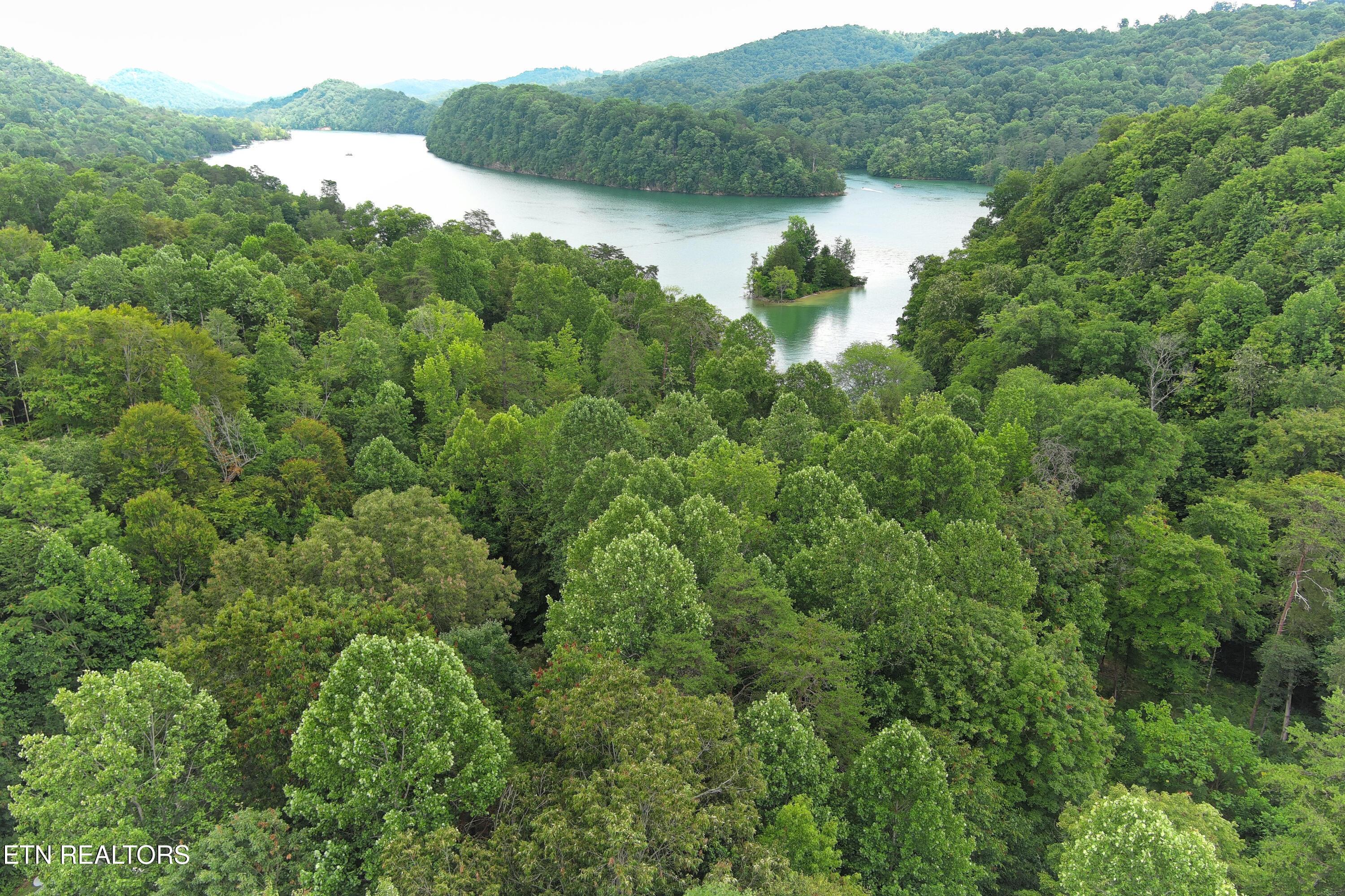Norris Lake Real Estate - Image# 5