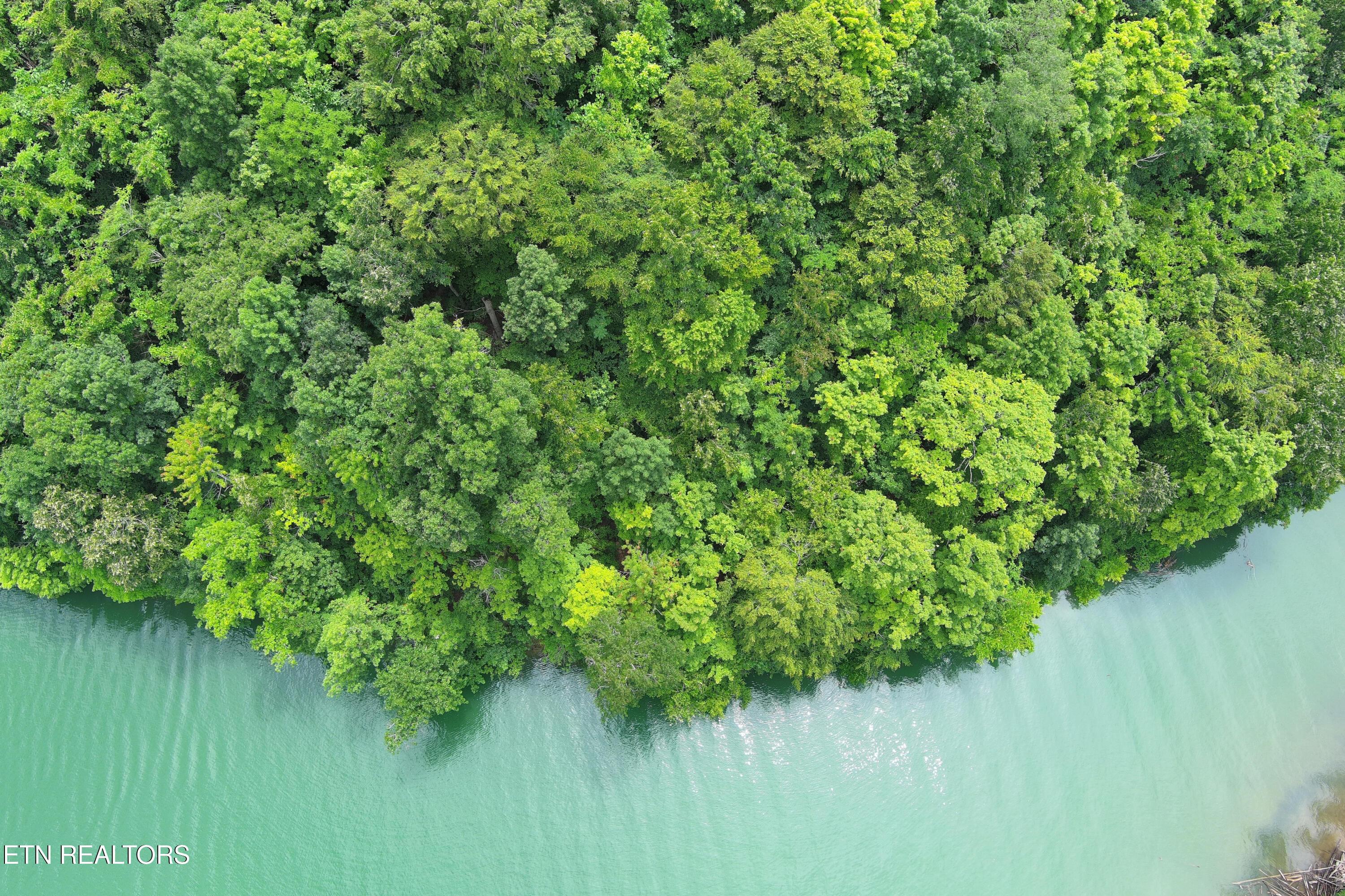 Norris Lake Real Estate - Image# 14