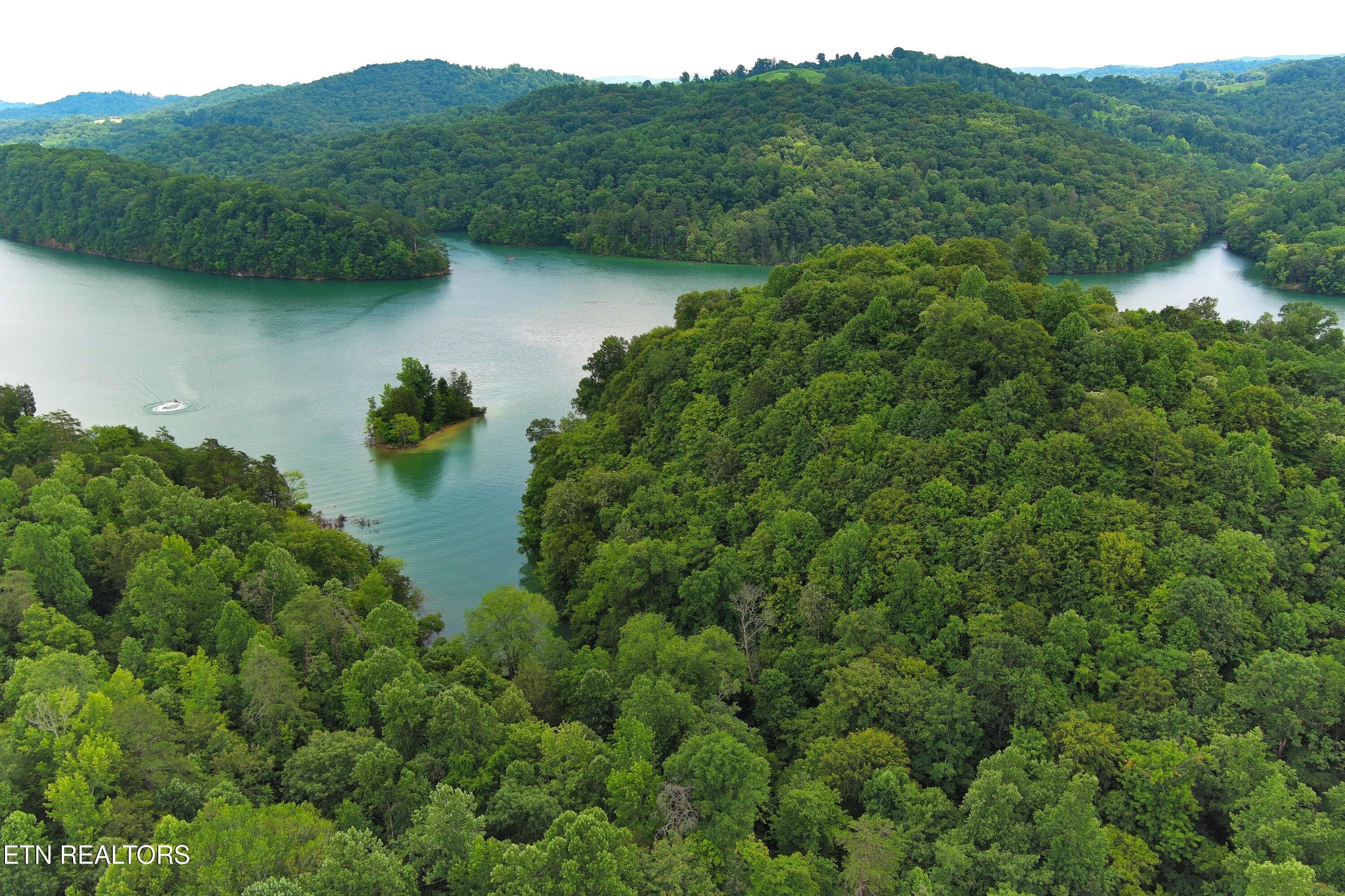 Norris Lake Real Estate - Image# 4