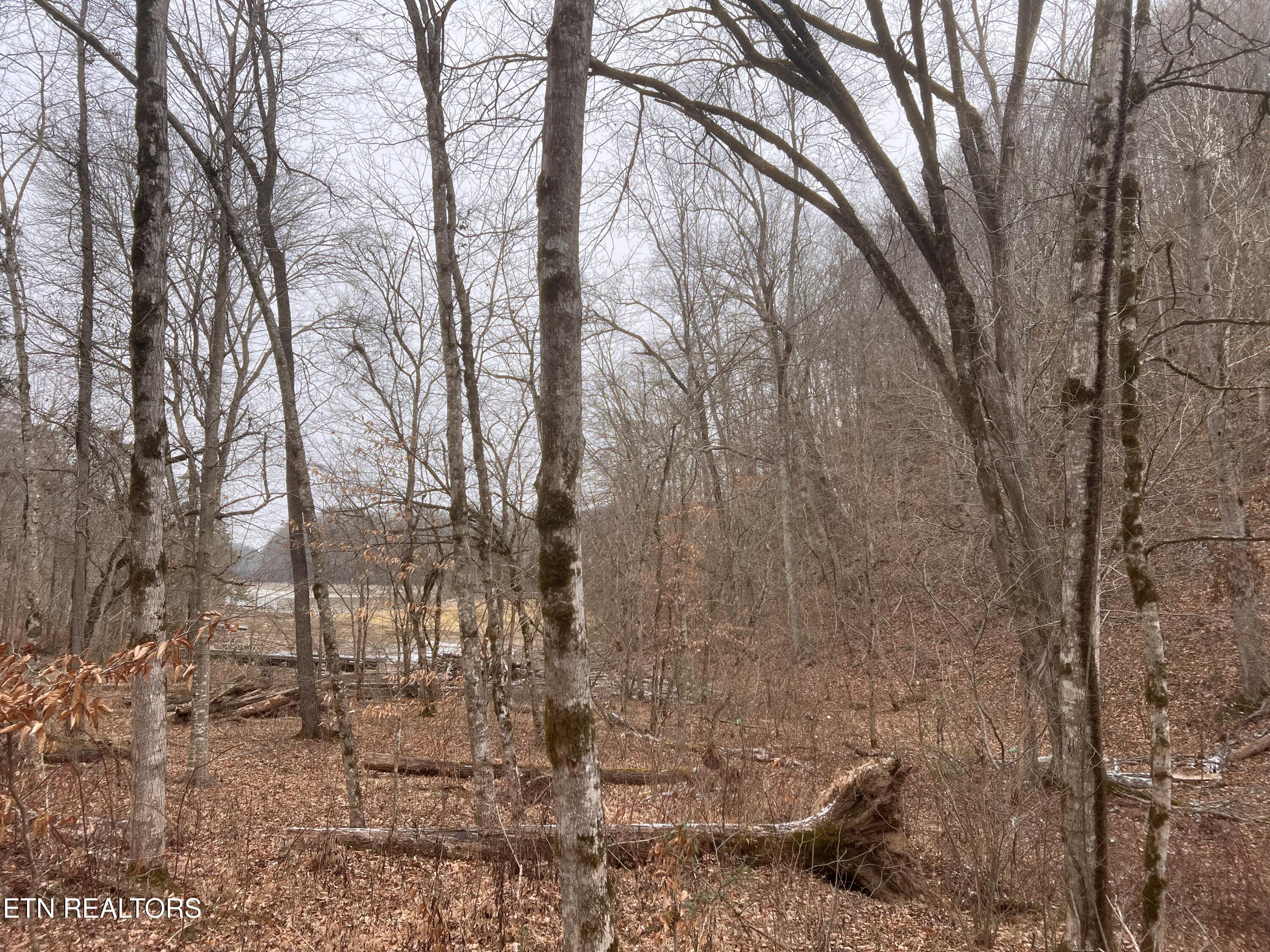 Norris Lake Real Estate - Image# 18