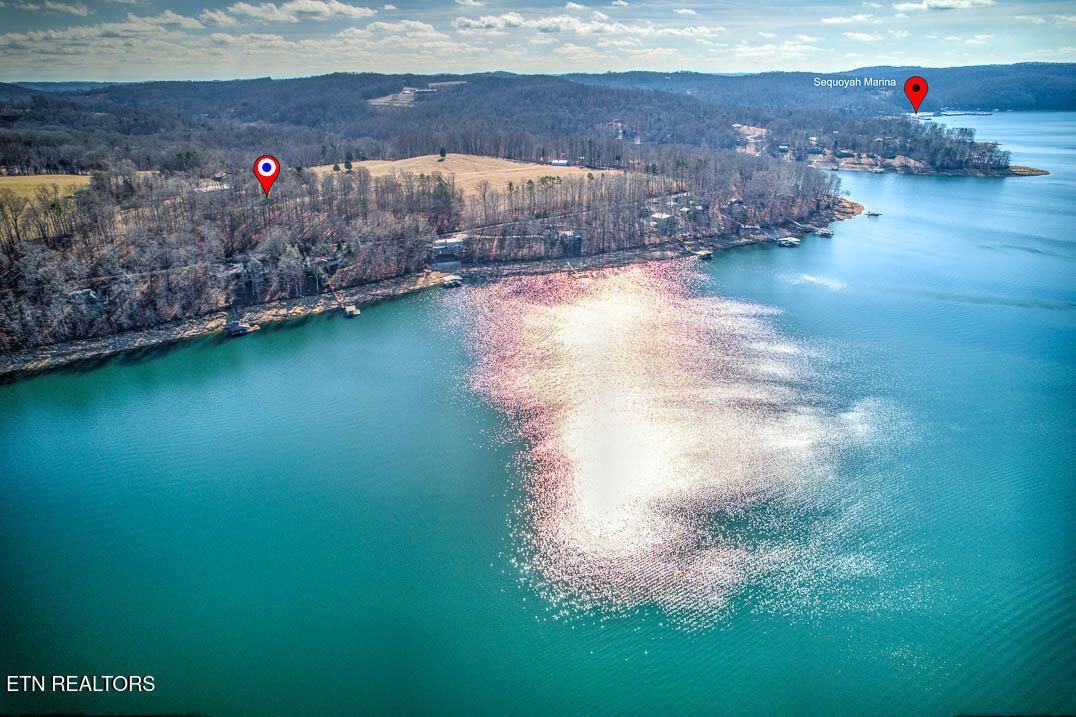 Norris Lake Real Estate - Image# 24