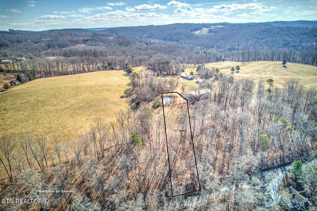 Norris Lake Real Estate - Image# 16