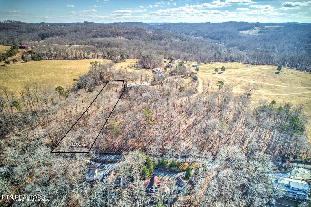Norris Lake Real Estate - Image# 21