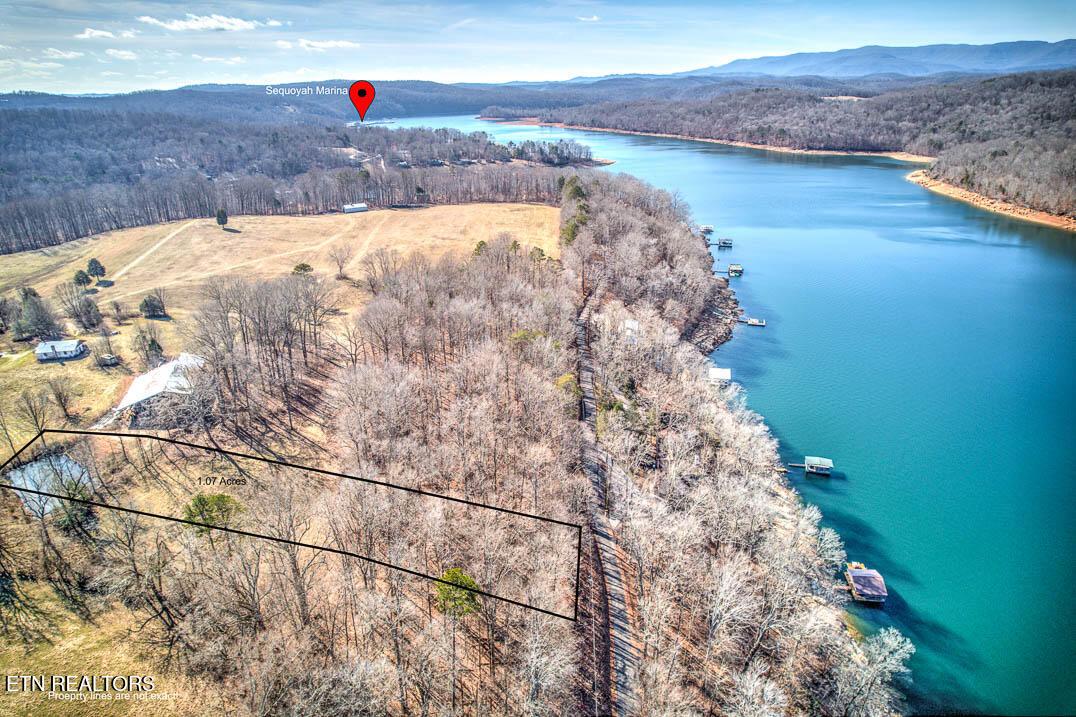 Norris Lake Real Estate - Image# 15