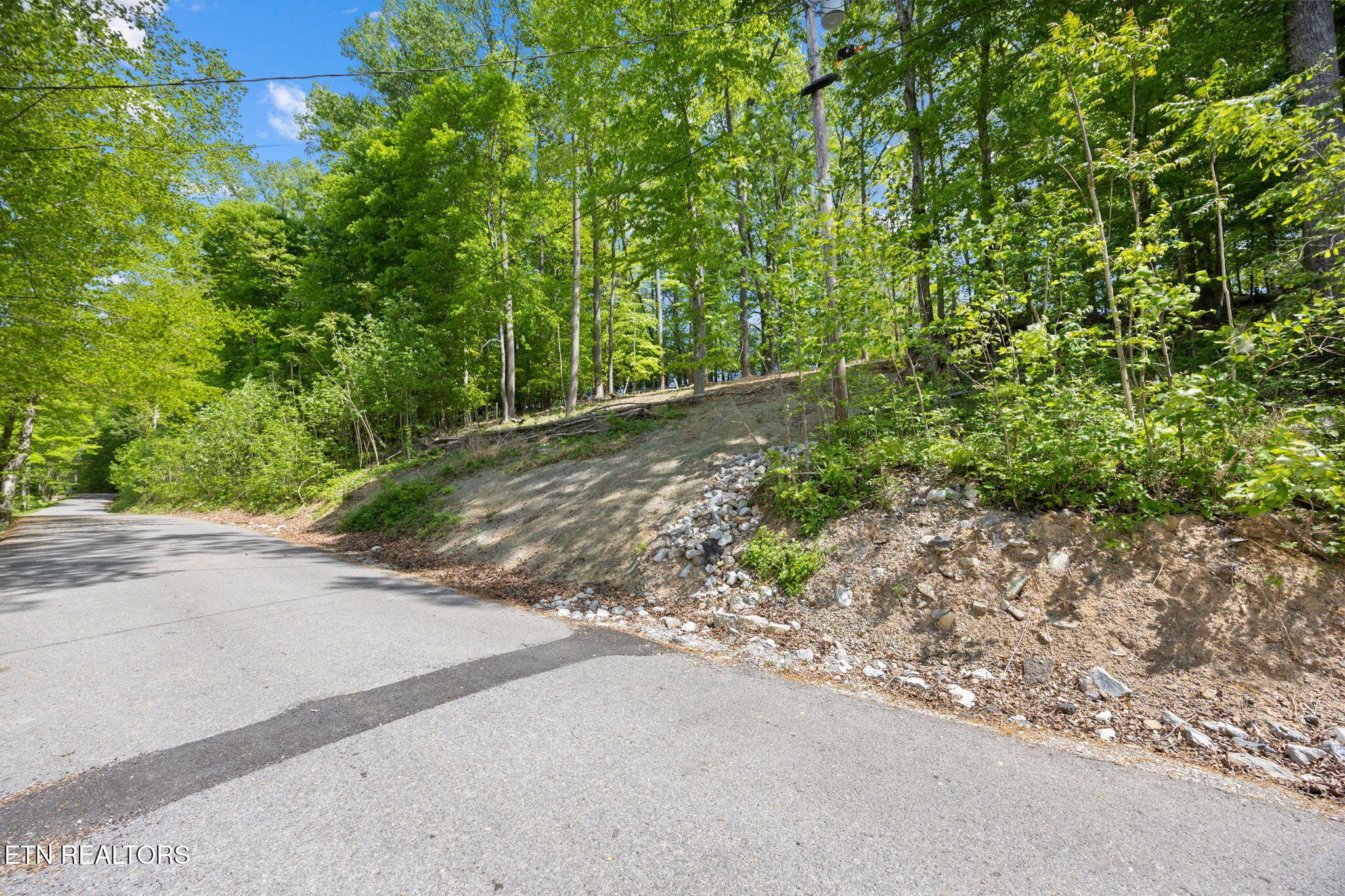 Norris Lake Real Estate - Image# 7