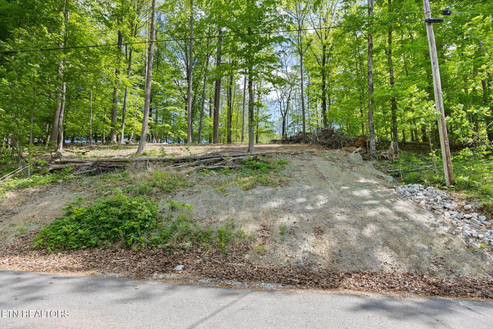 Norris Lake Real Estate - Image# 2