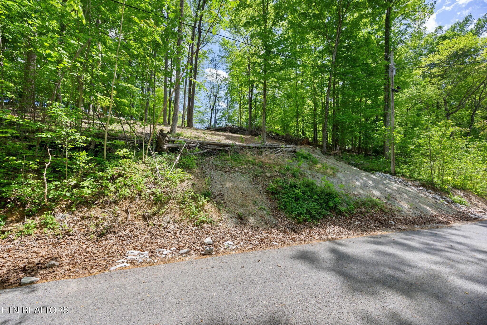 Norris Lake Real Estate - Image# 6