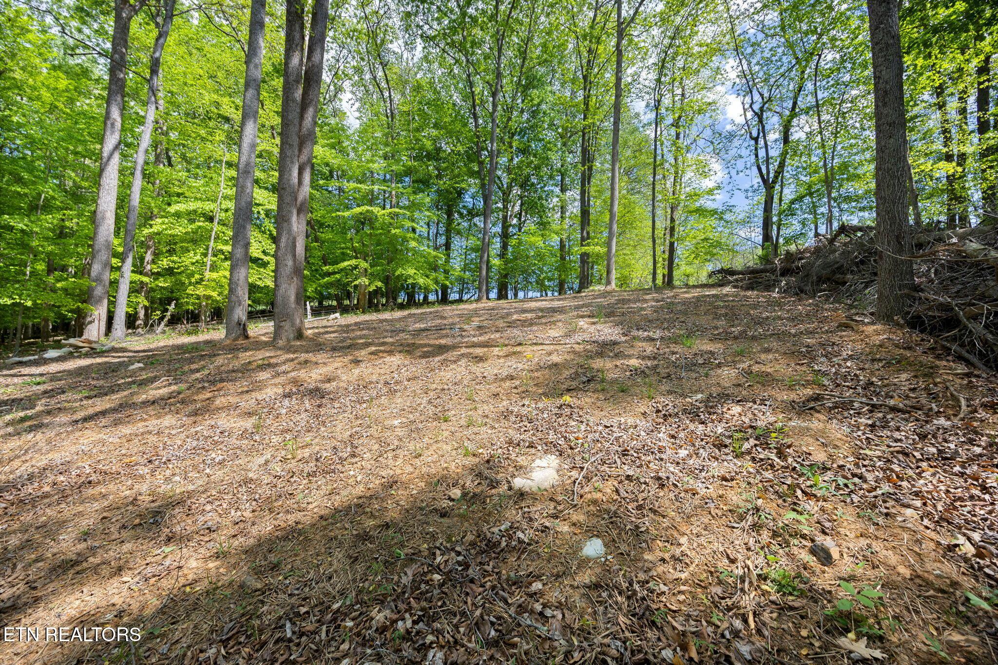 Norris Lake Real Estate - Image# 3