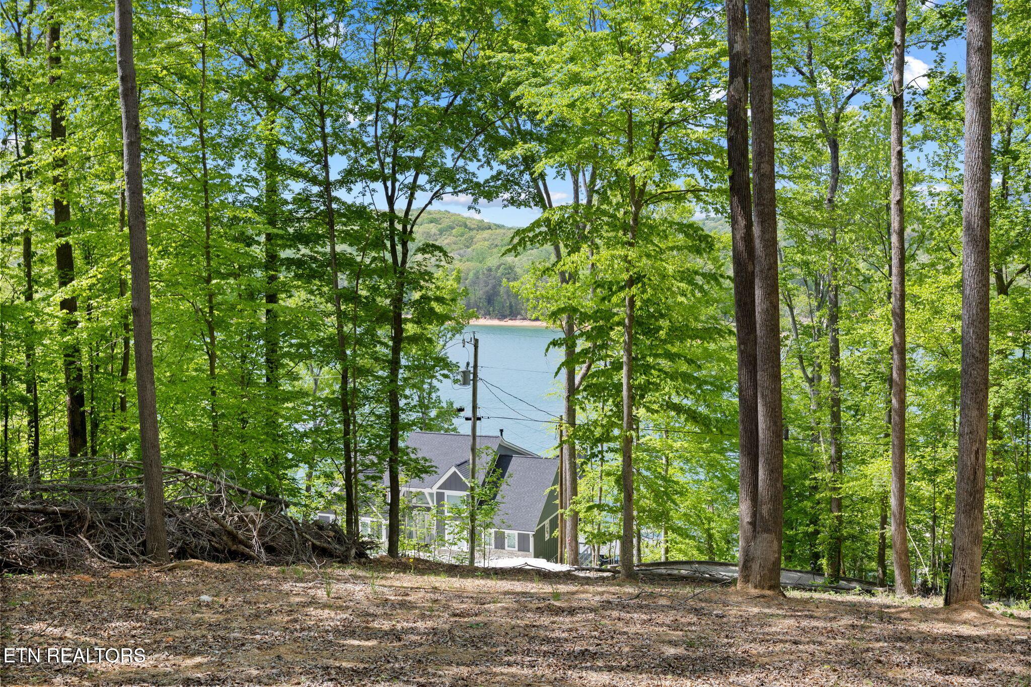 Norris Lake Real Estate - Image# 1