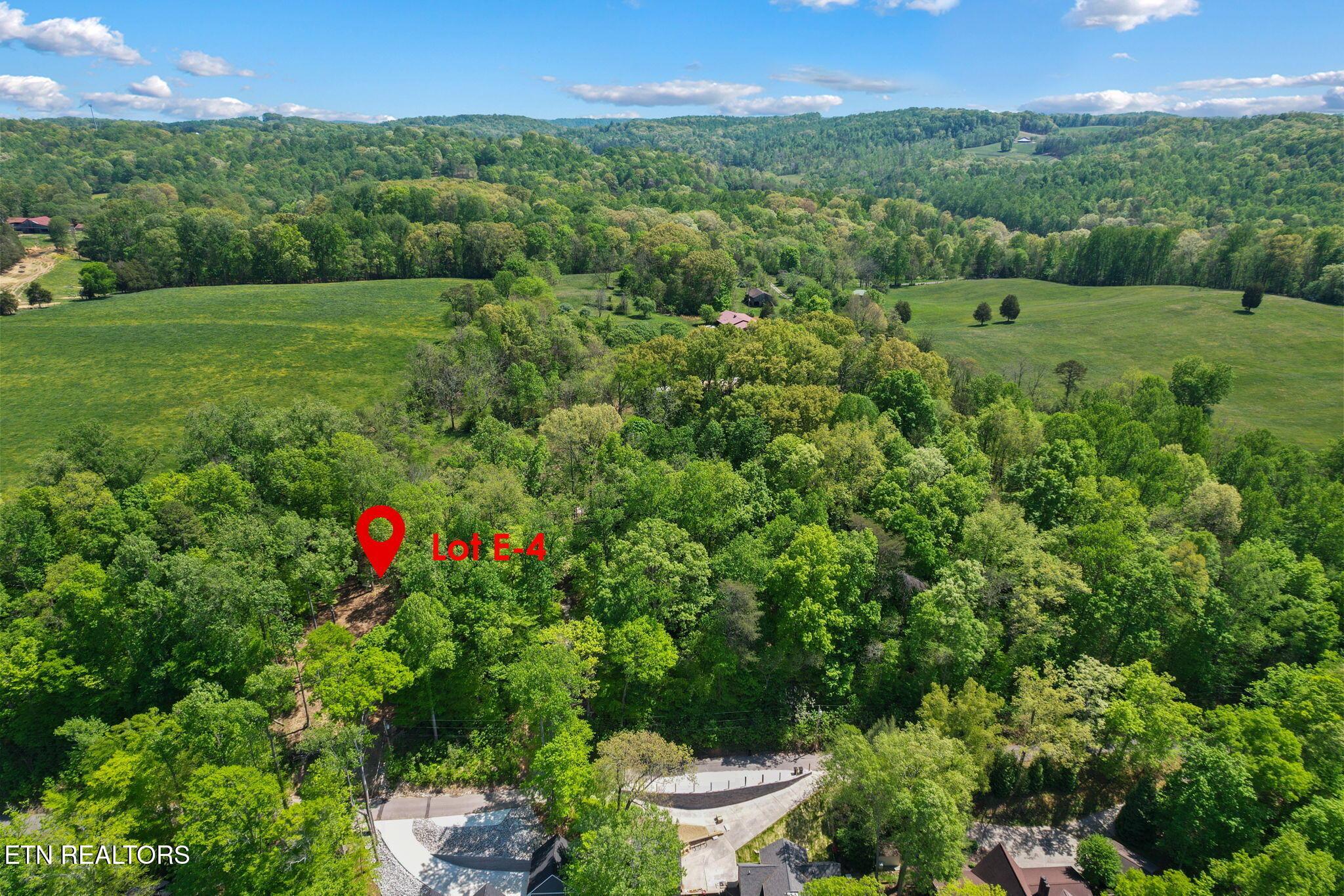 Norris Lake Real Estate - Image# 11