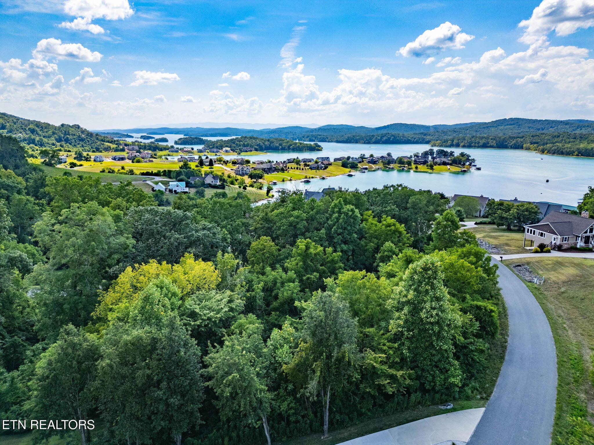 Norris Lake Real Estate - Image# 2