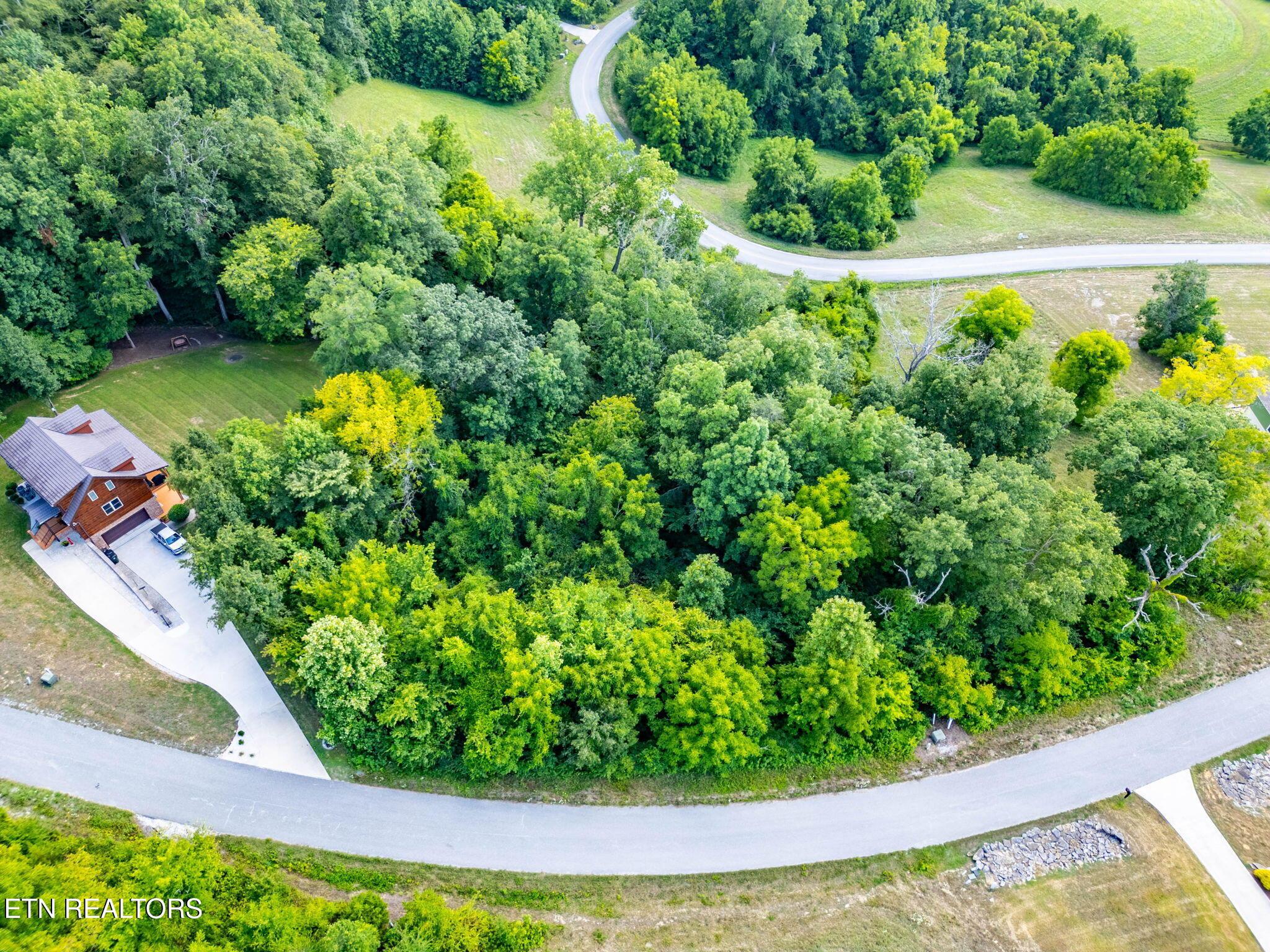 Norris Lake Real Estate - Image# 3
