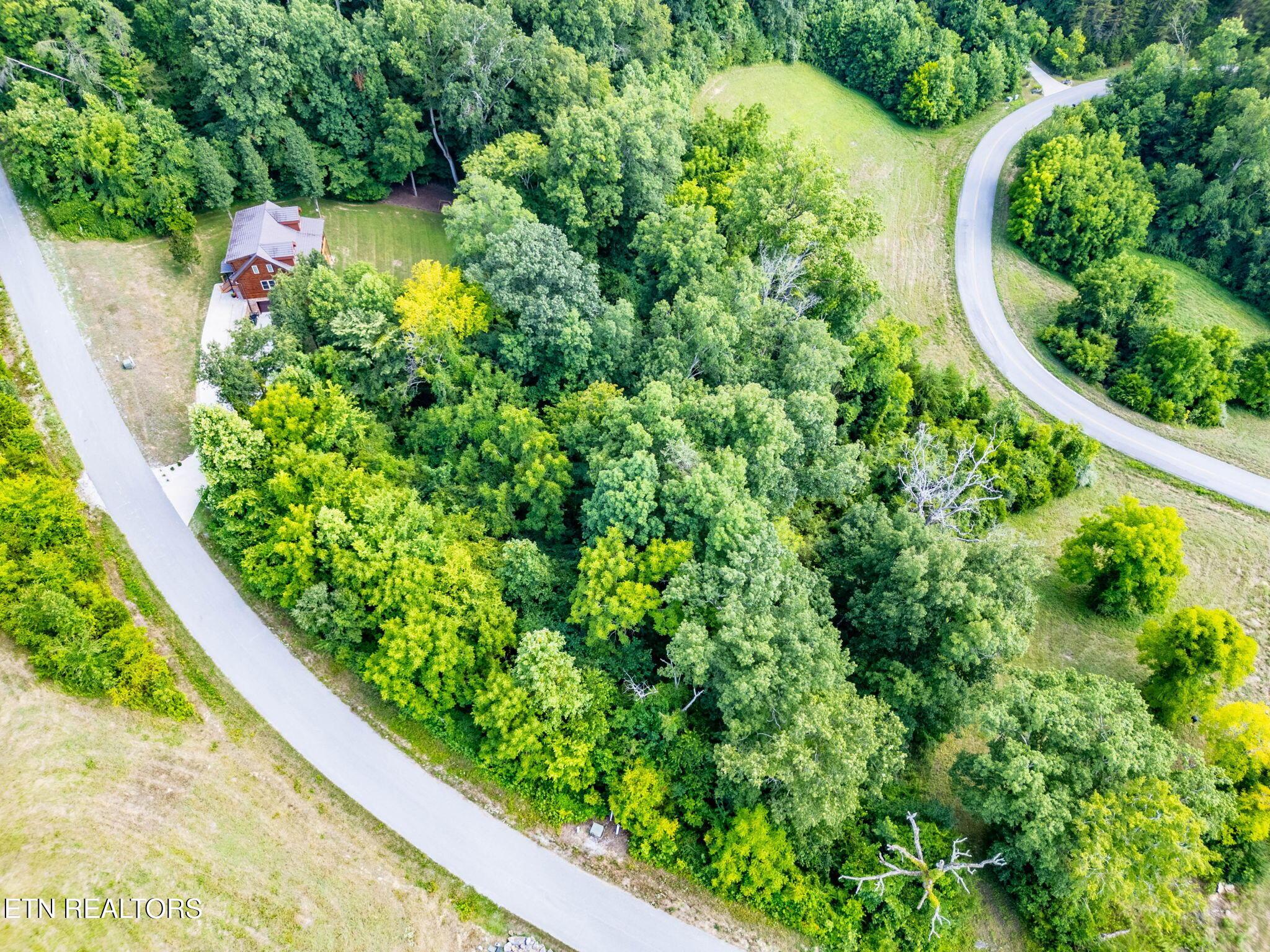 Norris Lake Real Estate - Image# 4